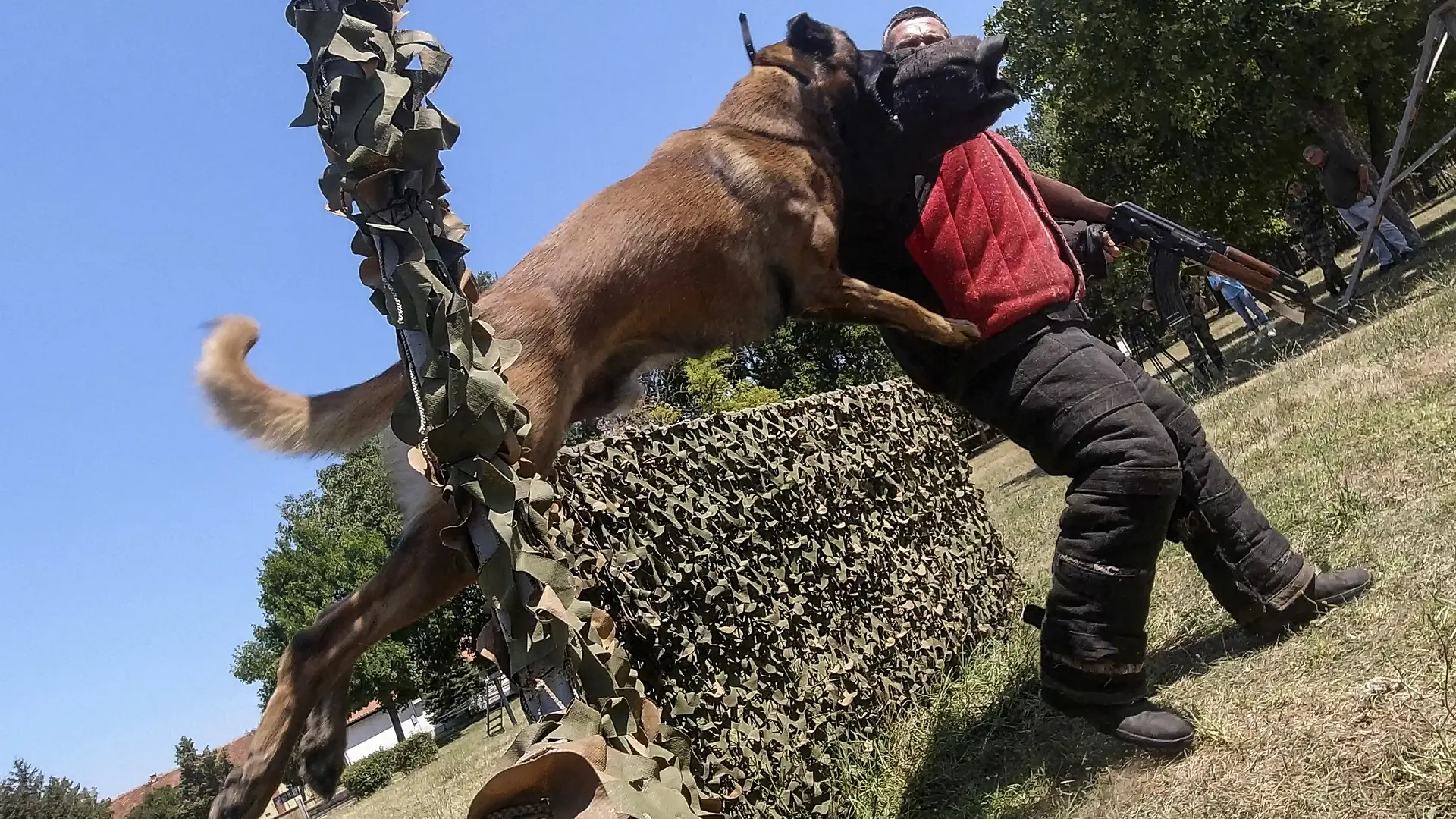 vojska srbije, obuka vodiča i pasa za pronalaženje minsko-eksplozivnih sredstava, pas, psi, srpska vojska, srpski vojnici - 29 jul 2024 - foto Tanjug Ministarstvo odbrane Miloš Savić (8)-66a7a9e2aedf0.webp