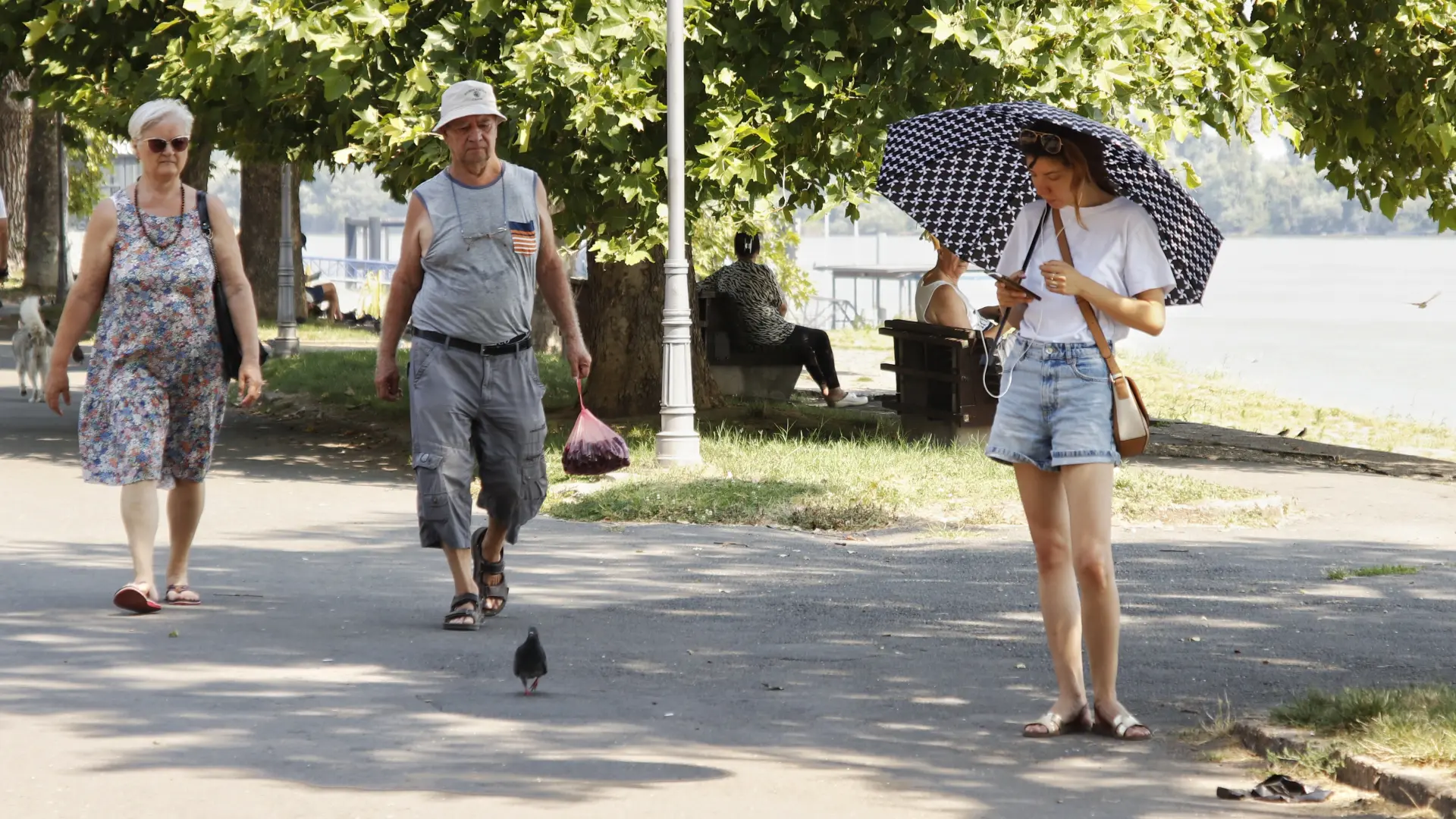 vreme beograd vrućina leto-6693aa972ccfd.webp