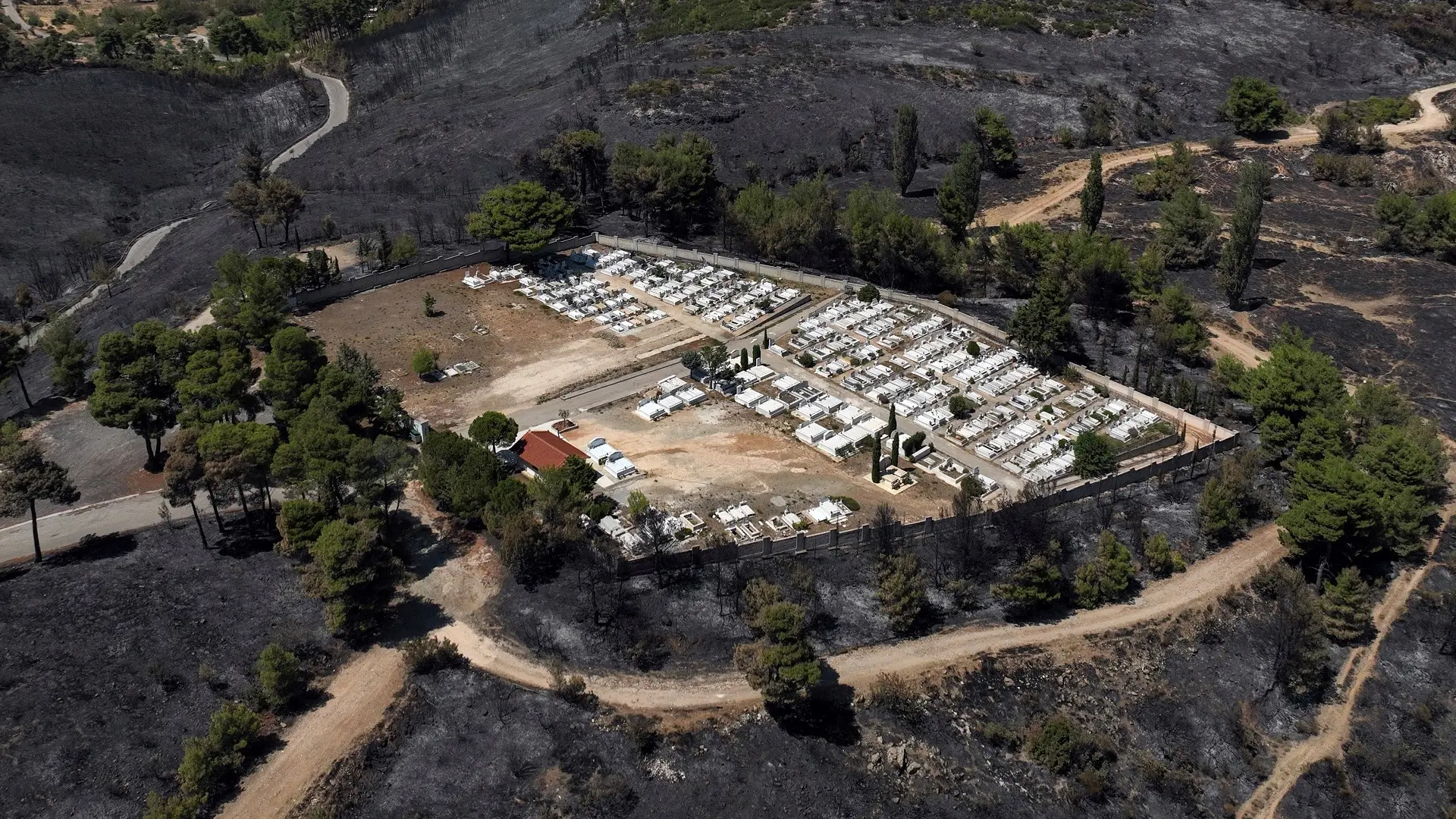 dionisos, požar kraj atine, šumski požari u grčkoj - 14 avg 2024 - foto Reuters-66c0501eeedcd.webp