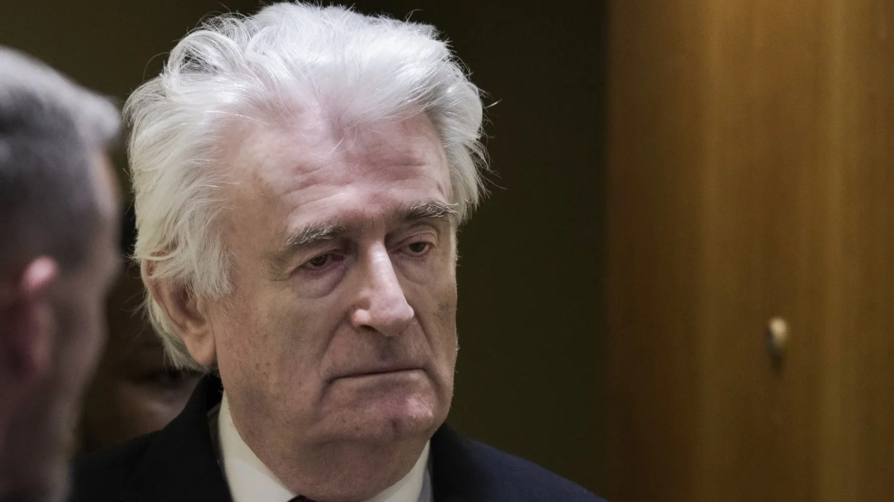 radovan karadžić, 20 mart 2019 - profimedia-0420791097-66c786e10d46a.webp