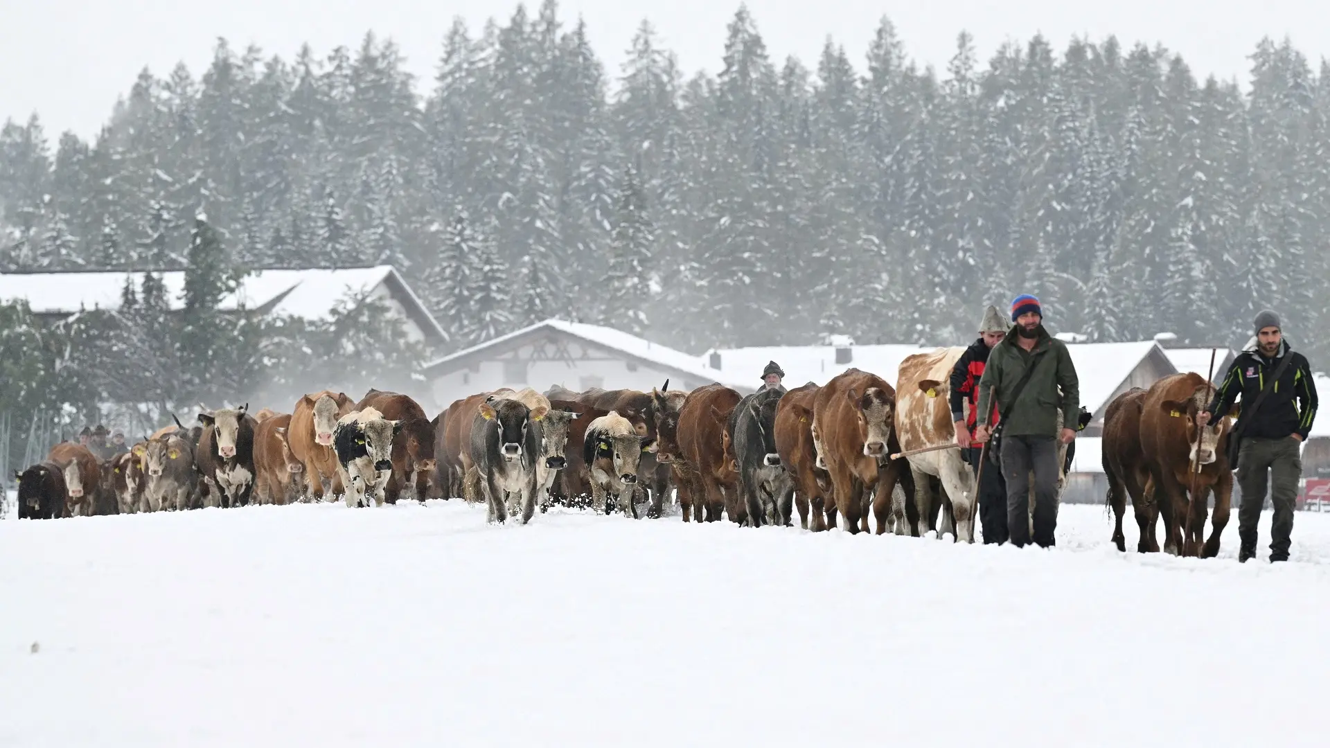 austrija, sneg - 14 sept 2024 - foto Reuters-66e6768632d9e.webp