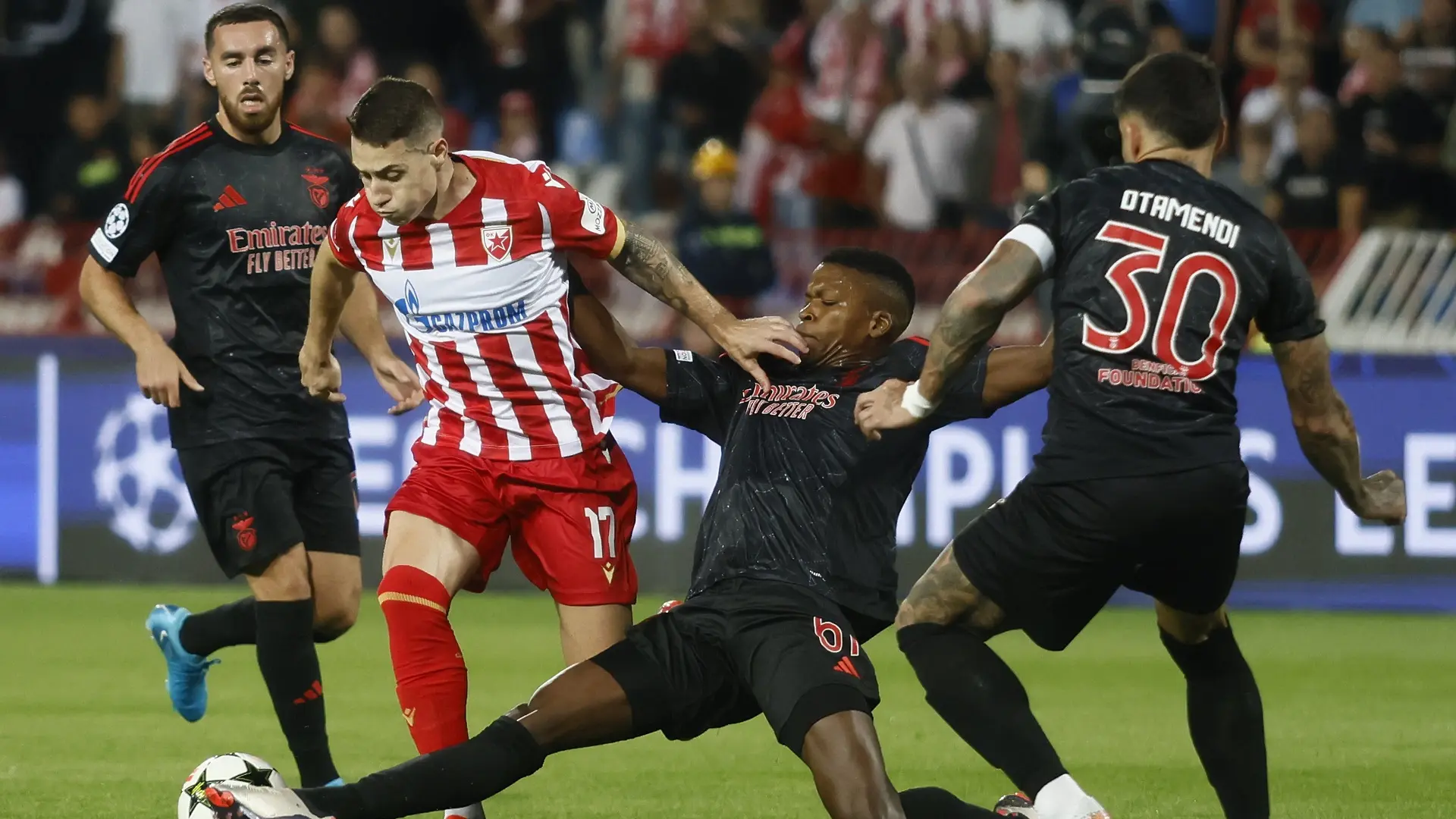 fk crvena zvezda, benfika - 19 sept 2024 - TANJUG MARKO ĐOKOVIĆ (1)-66ec66aa31550.webp