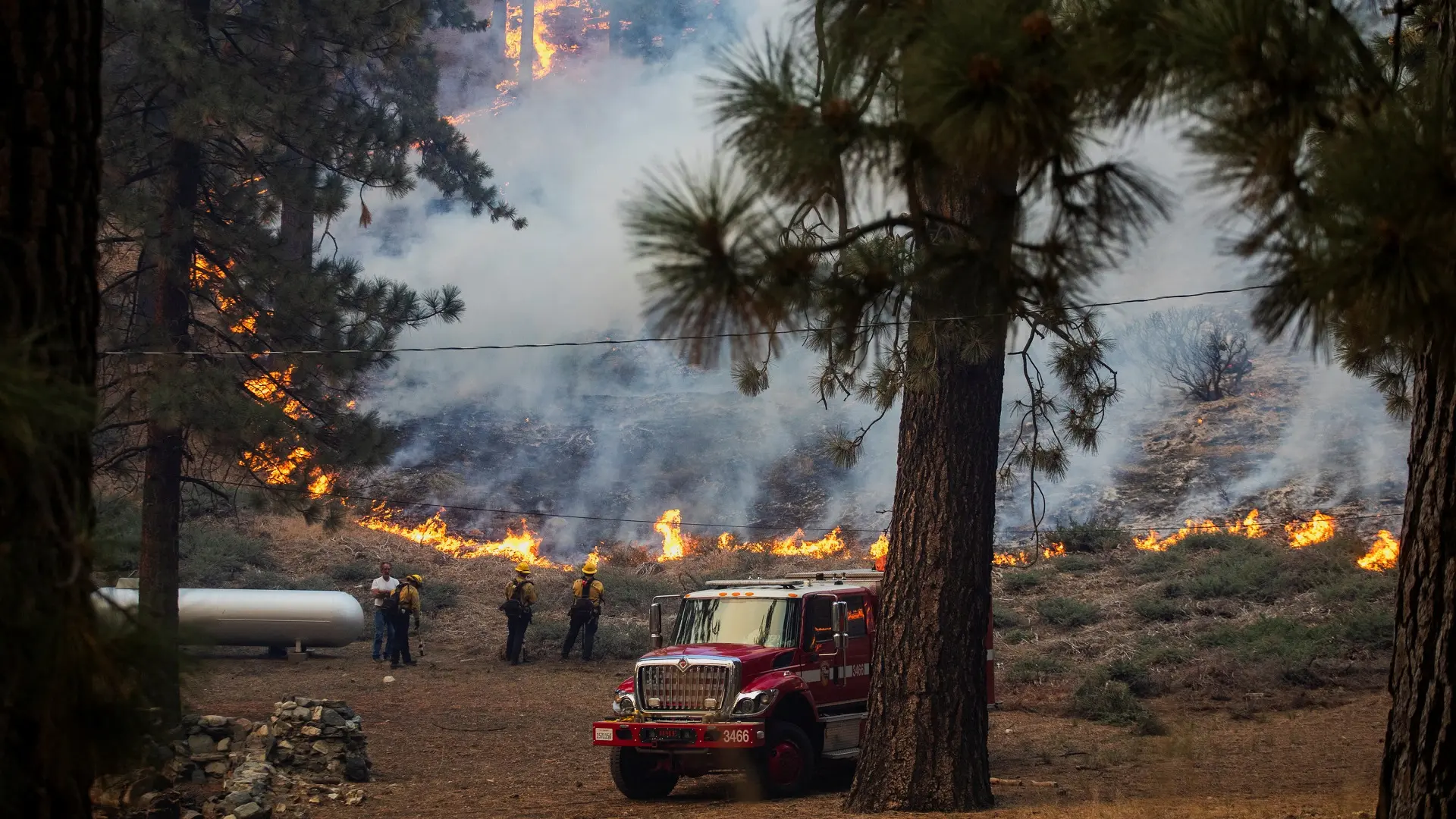 požari u kaliforniji, kalifornija, požar - 12 sept 2024 - foto Reuters-66e689076b567.webp