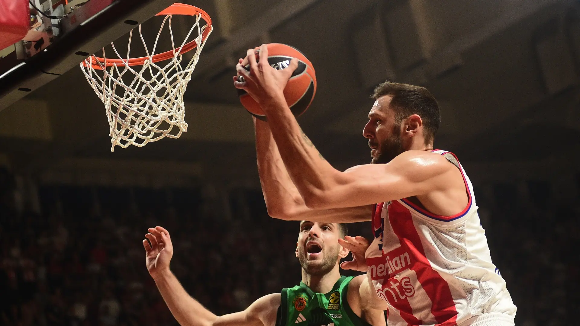 kk crvena zvezda panatinaikos, 1 nov 2024 - Dusan Milenkovic ATAImages 01, novembar, 2024-6725374511a06.webp