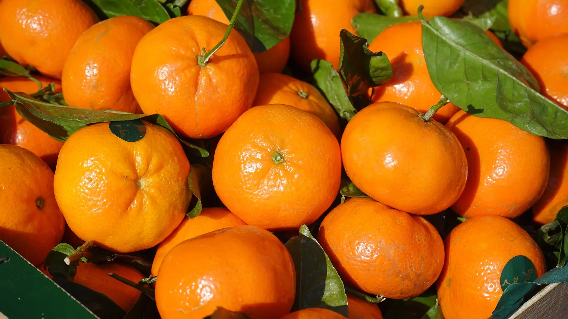 klementine mandarine pixabay voće-6745dc6f68236.webp