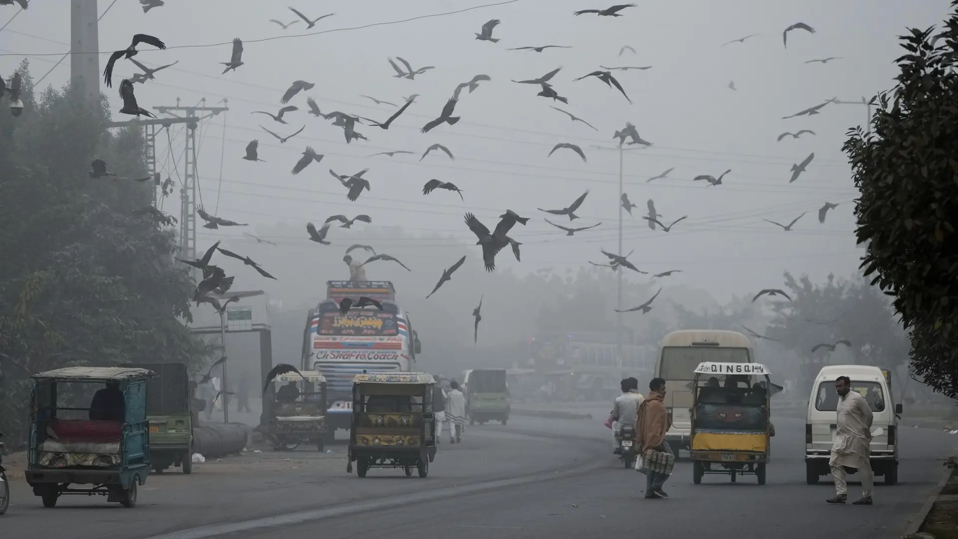 pakistan smog AP PhotoK.M. Chaudary tanjug-6734d53c2a878.webp