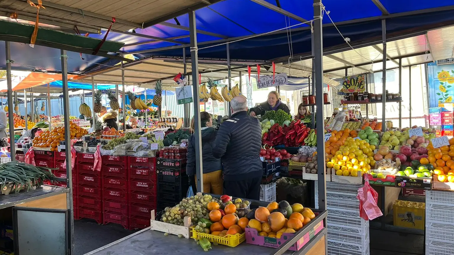 pijaca zimnica una 2-6730ae7c0438e.webp