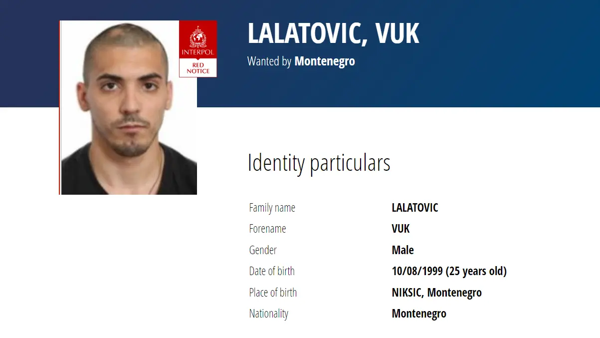 vuk lalatović interpol-674884a6278f0.webp