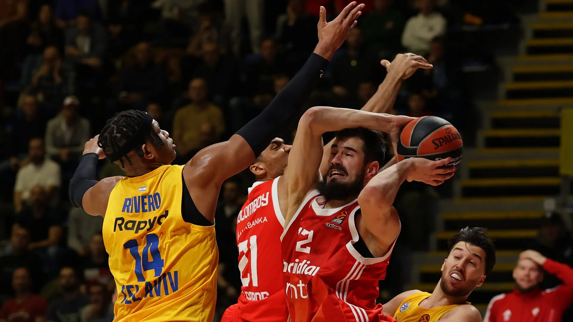 kk makabi crvena zvezda, 23 jan 2025 - TANJUG MARKO ĐOKOVIĆ (2)-6792a86254807.webp