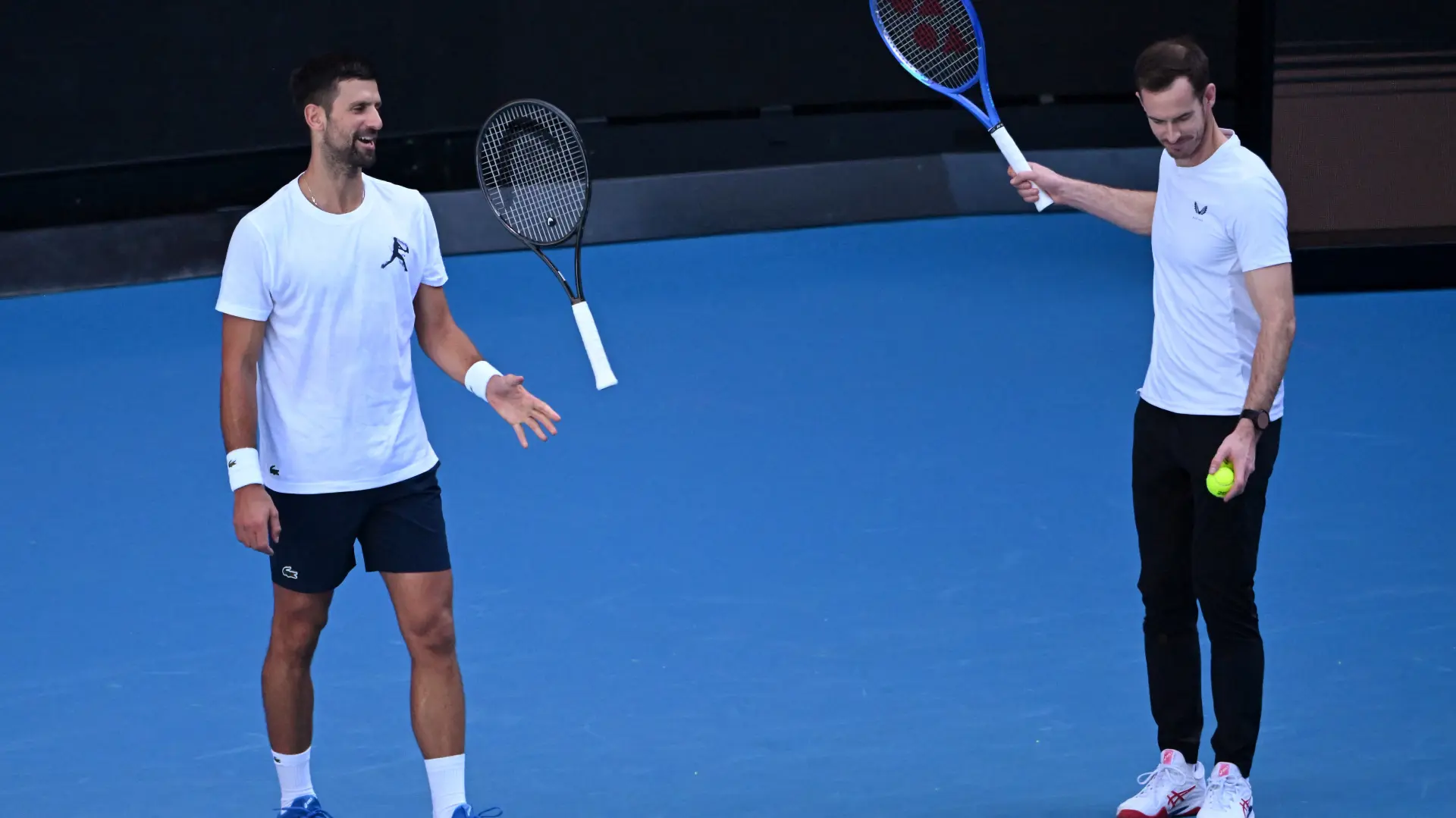 novak đoković endi mari australijan open reuters-677e4ff246bde.webp