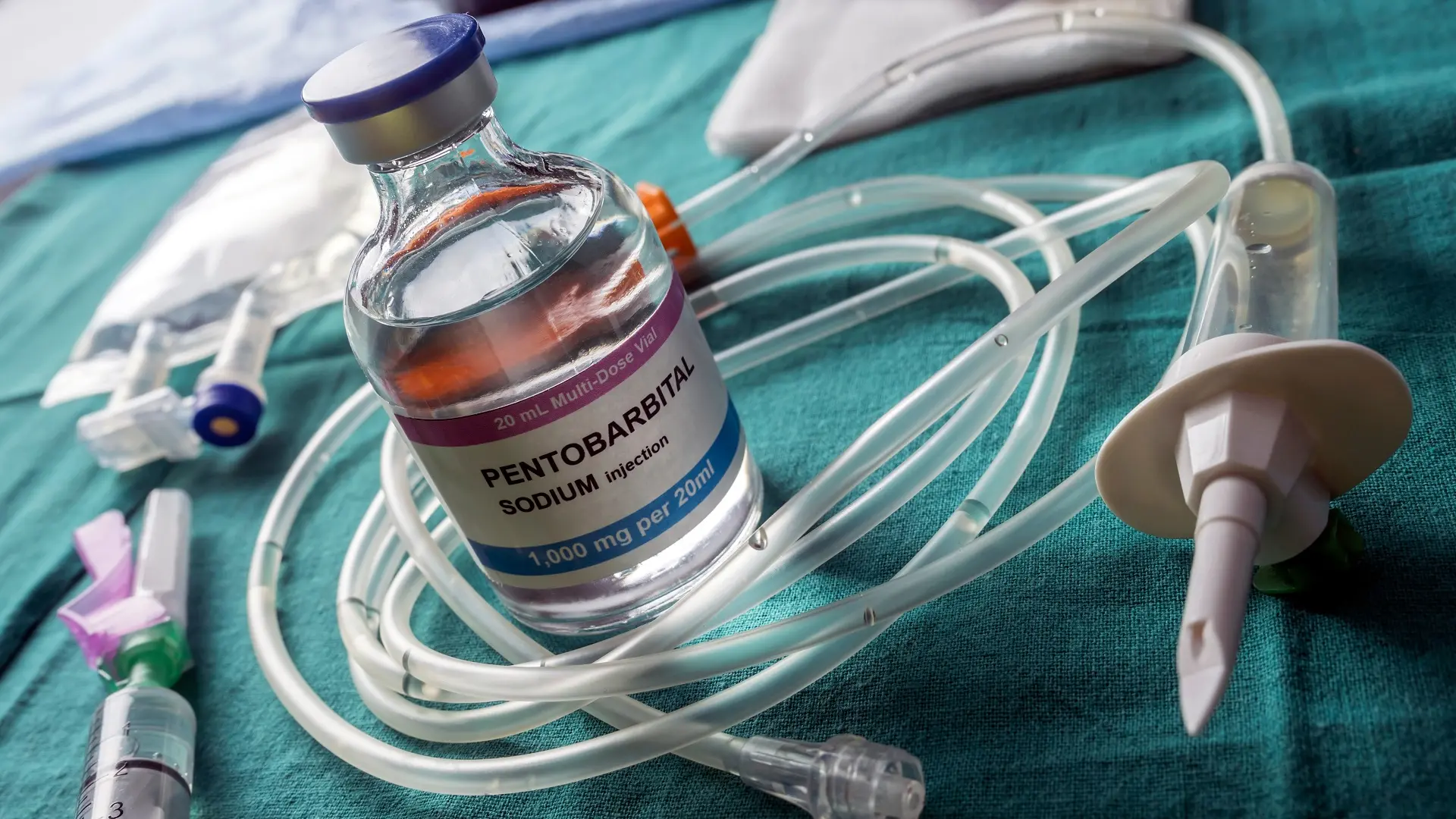 smrtonosna injekcija, smrtna kazna - shutterstock_1387386818-679e29c01f138.webp