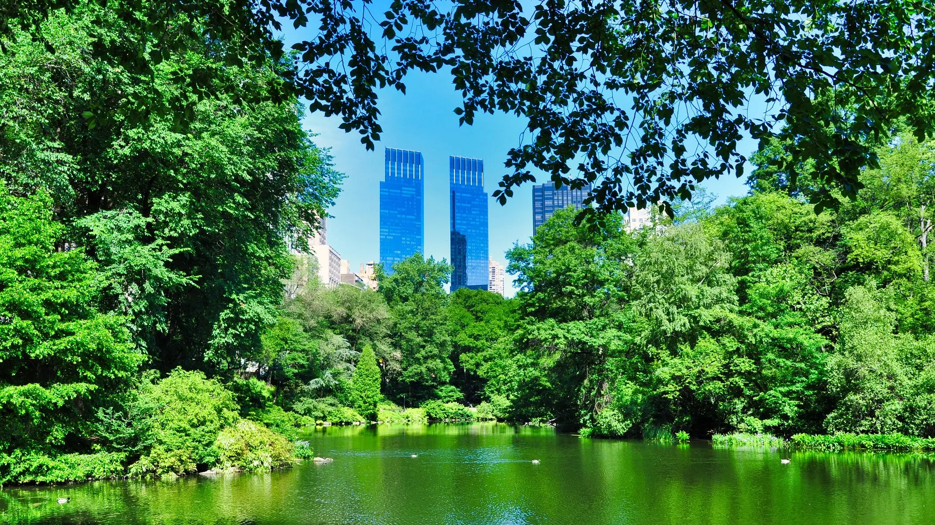 njujork central park new york pixabay  1-67e28680b2885.webp
