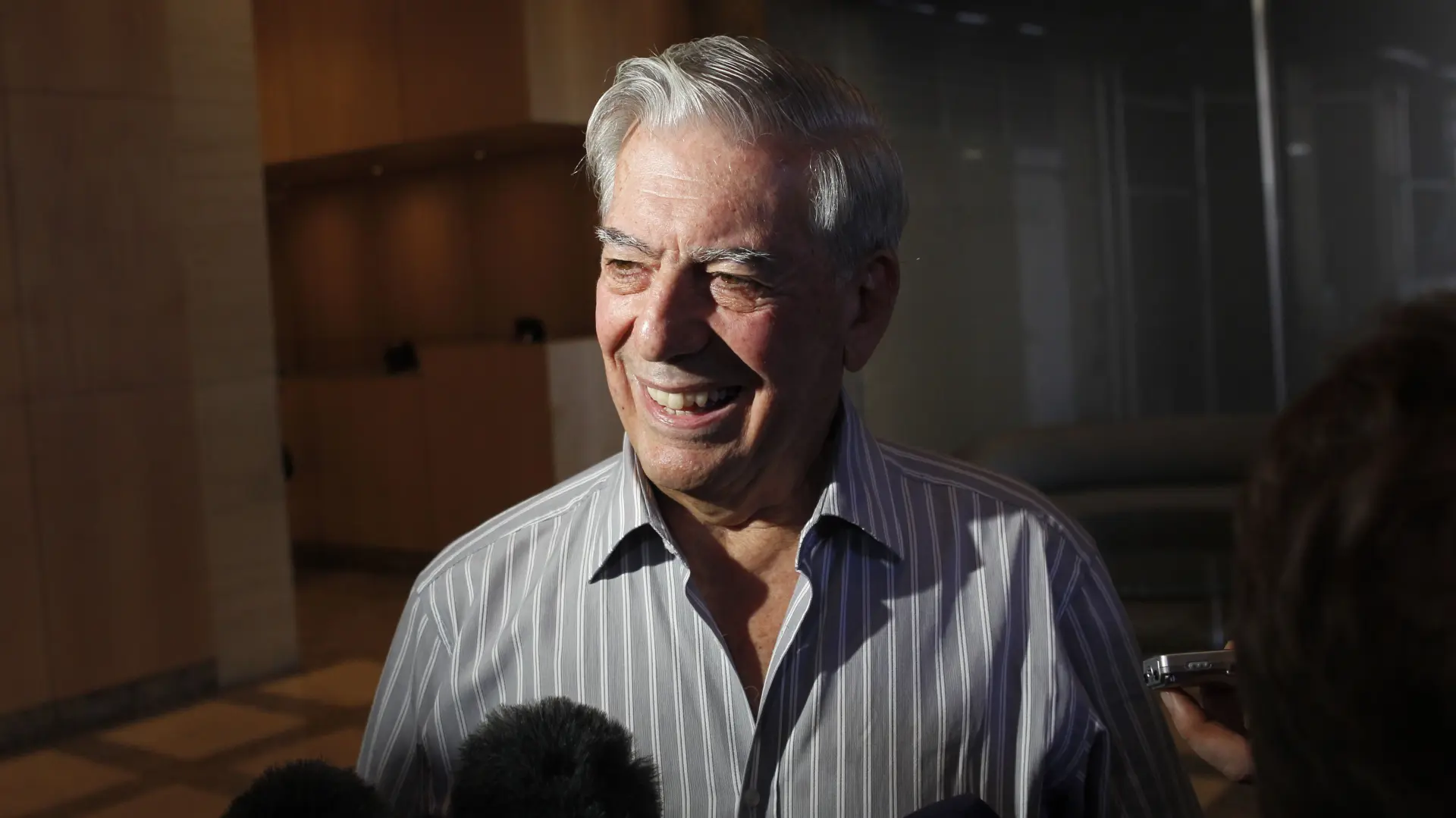 Mario Vargas Ljosa - Tanjug - AP PhotoSeth Wenig, File-67fcacba64449.webp