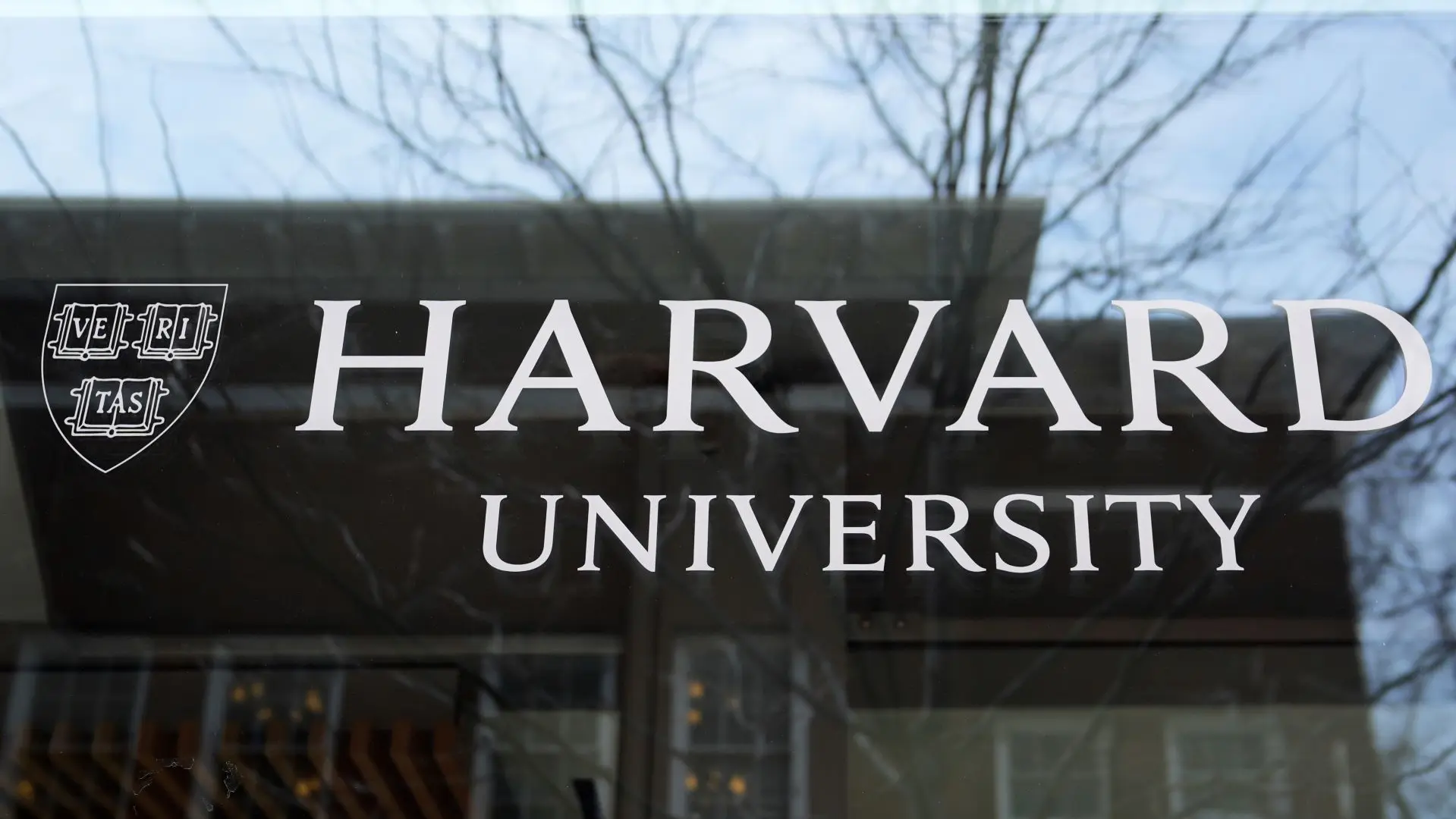 Univerzitet harvard - Tanjug - AP PhotoCharles Krupa-68009cec09ba7.webp