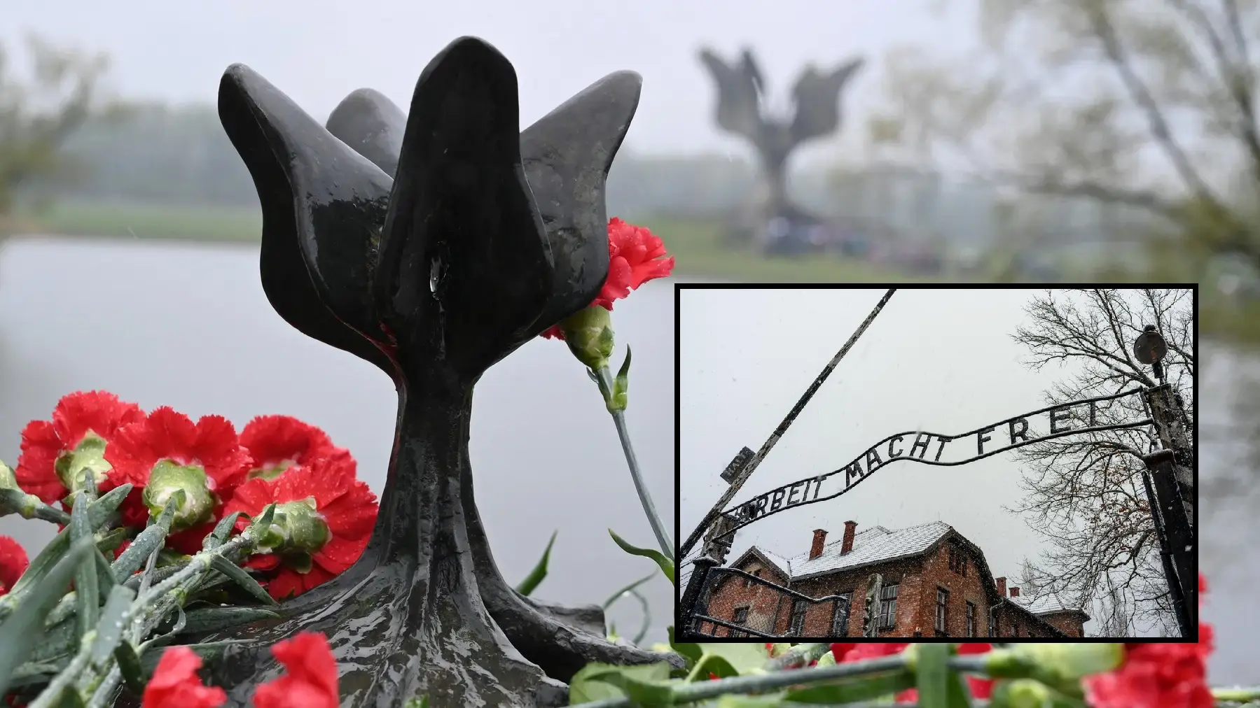 jasenovac profimedia-0425946467 i 0967375047-680a26f7d96ab.webp