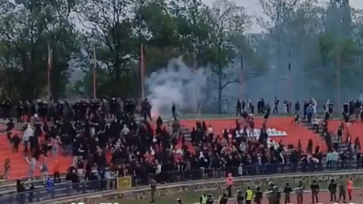 navijaci zvezde printscreen sportske net-68092356bbae0.webp