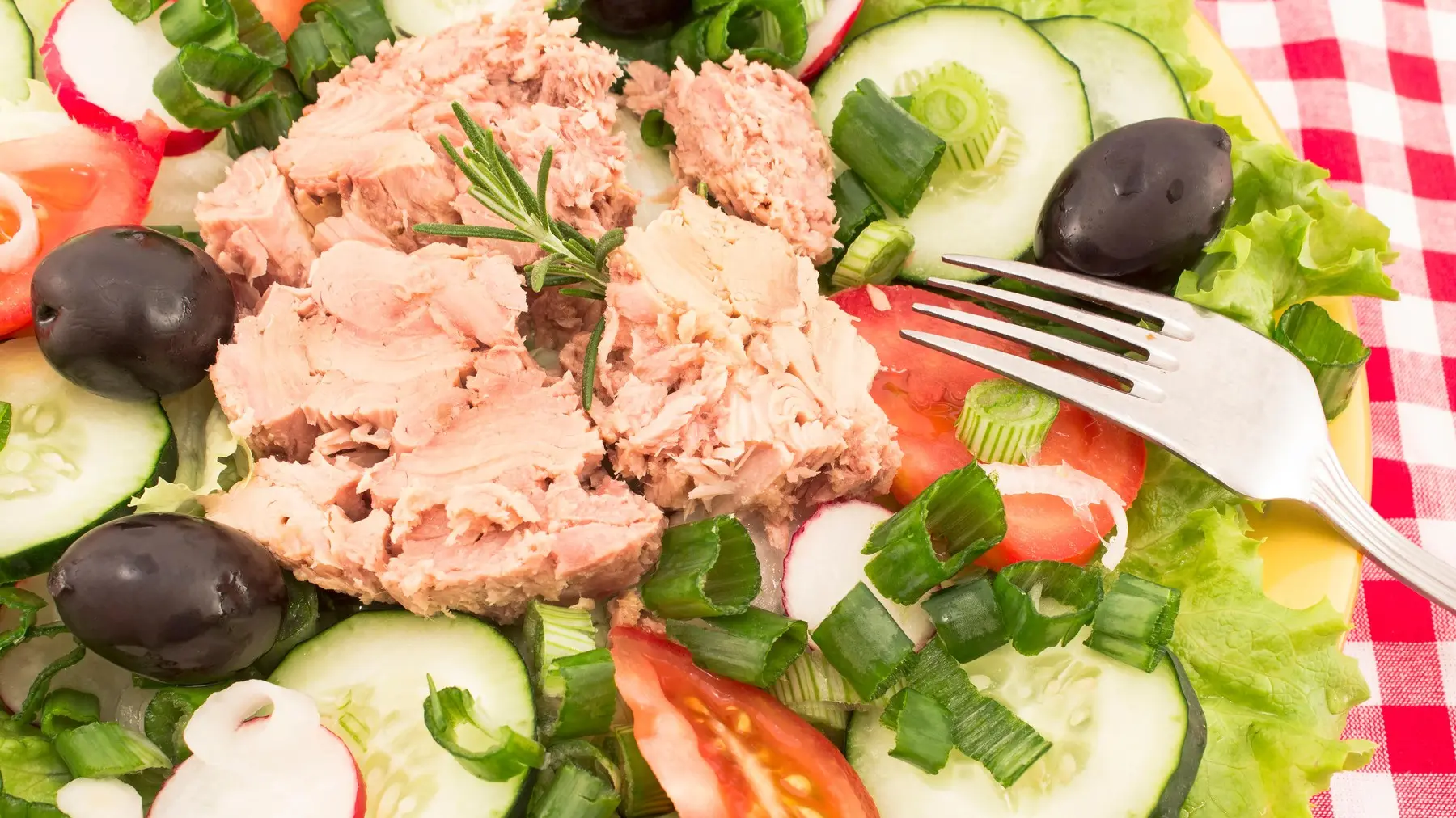 profimedia-0282147829 tunjevina salata masline rucak-681134d10e3f9.webp