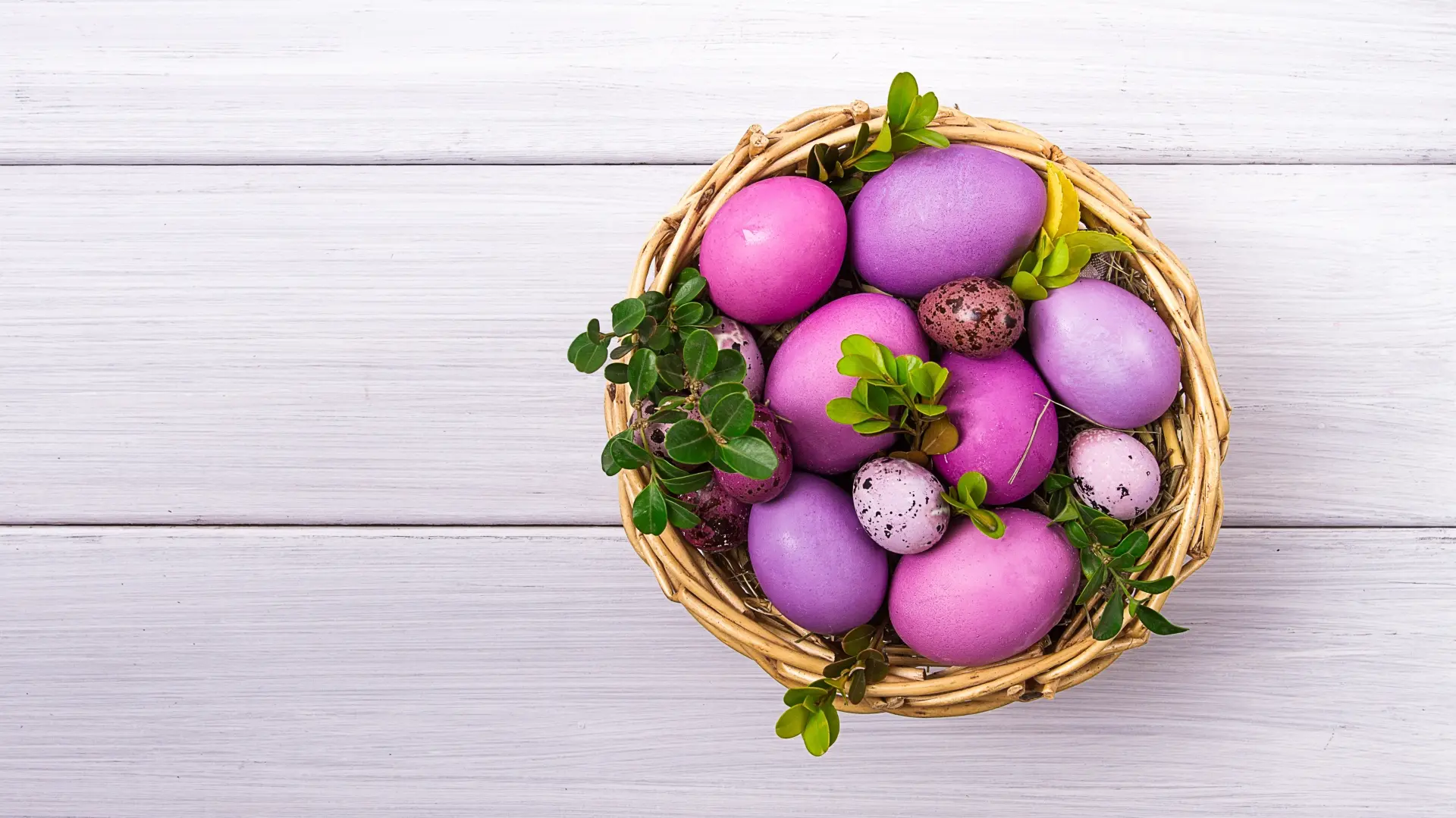 shutterstock_ ljubičasta jaja vaskrs uskrs-67f92b713dcb0.webp