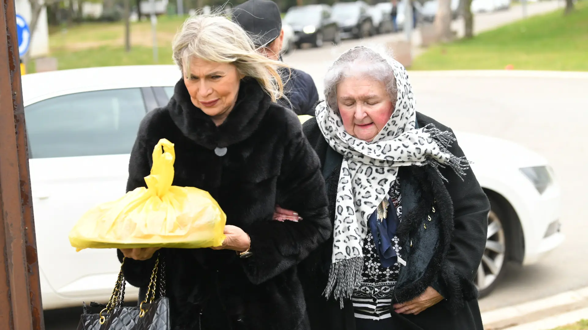suzana jovanović R.Z.ATAImages pomen saše popovića sestra saše popovića-67f7a2e22852d.webp