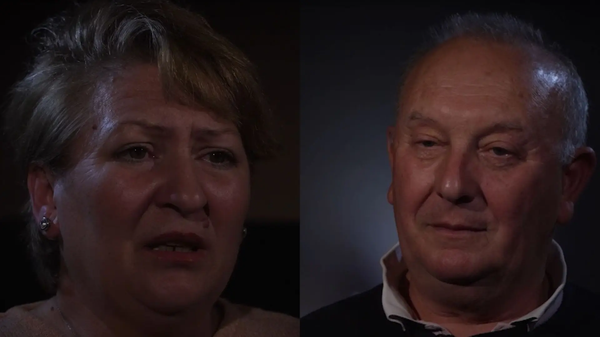 to je zivot kamelija vlada-680a457814ebb.webp