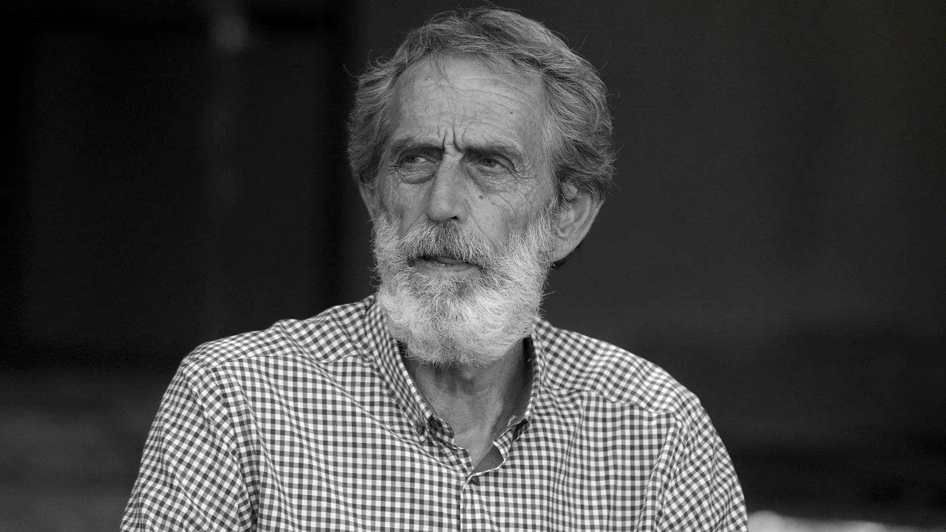 Antonio AhelATAImages momčilo momo pićurić-684aaa2bdd258.webp