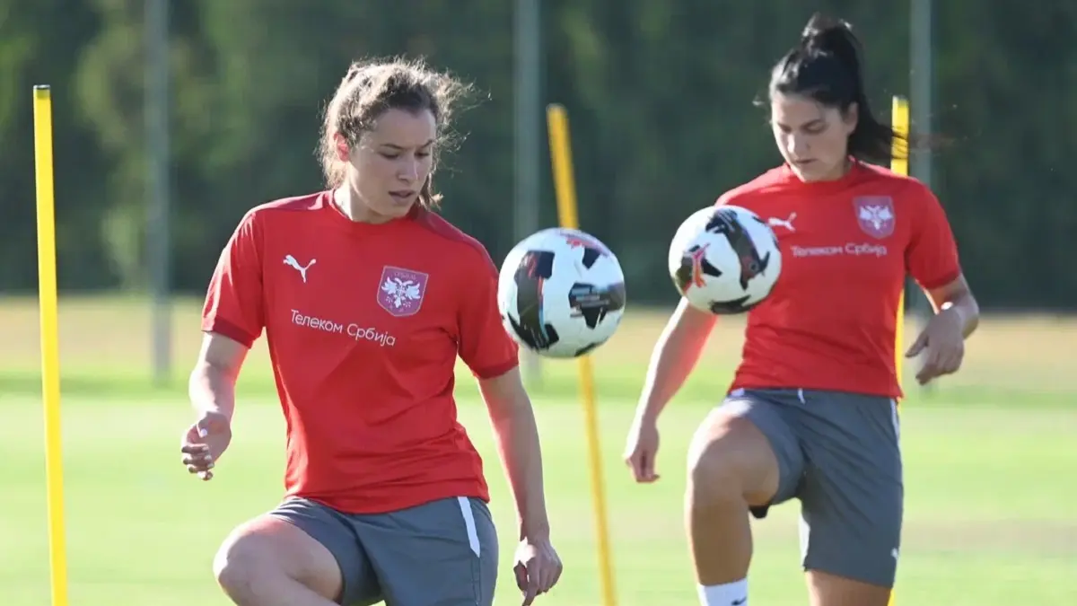 dina blagojevic fss-685d23ffdf149.webp