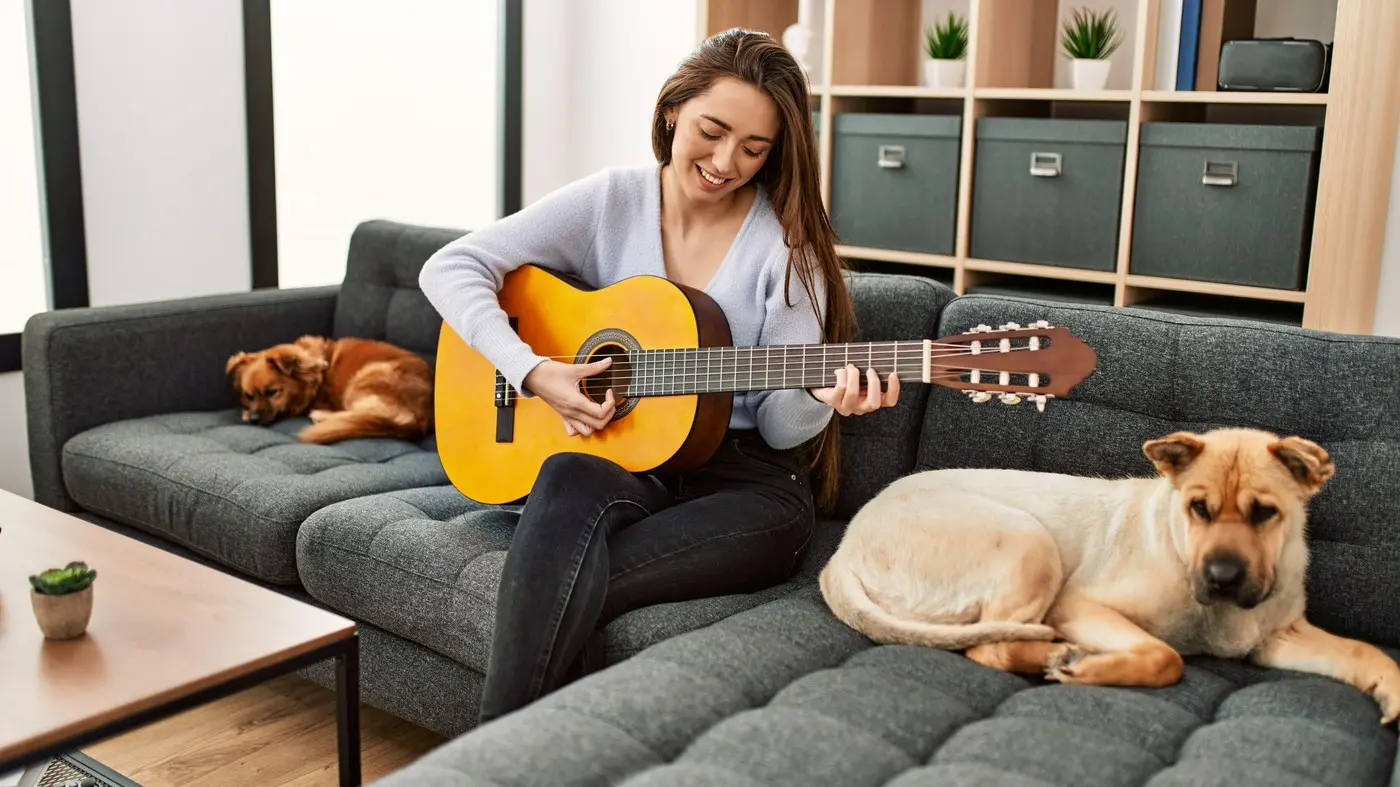 muzika, gitara, pas, psi, sviranje gitare, kućni ljubimac ljubimci - 23 maj 2025 - profimedia-1002229266-685bb5b991a9f.webp