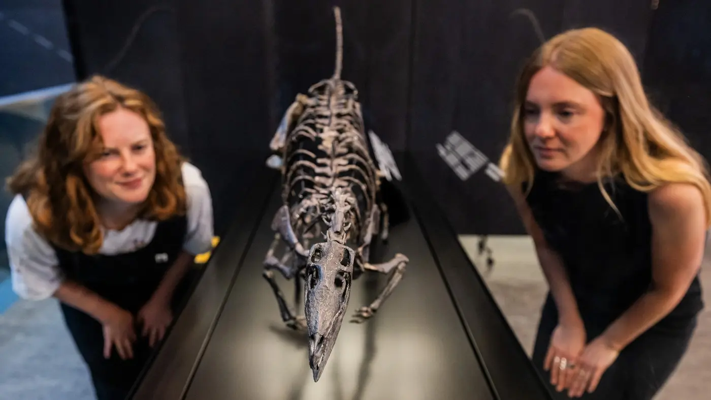 nova vrsta dinosaurusa, dinosaurus zagonetni trkač - 24 jun 2025 - profimedia-1014838377-685bce38c83cf.webp