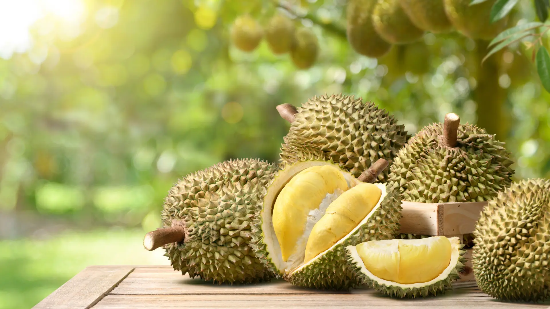shutterstock_2479403023 durian durijan voće-684ea01c5209e.webp
