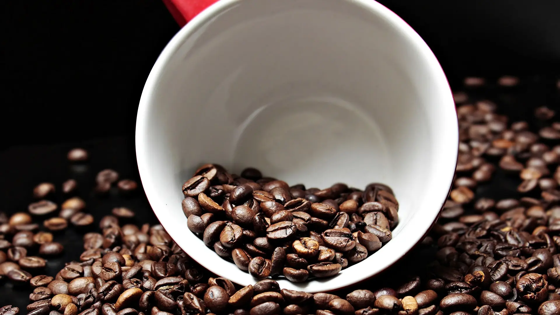 zrno kafe kafa soljica kafe pixabay-684ecfe2c9919.webp