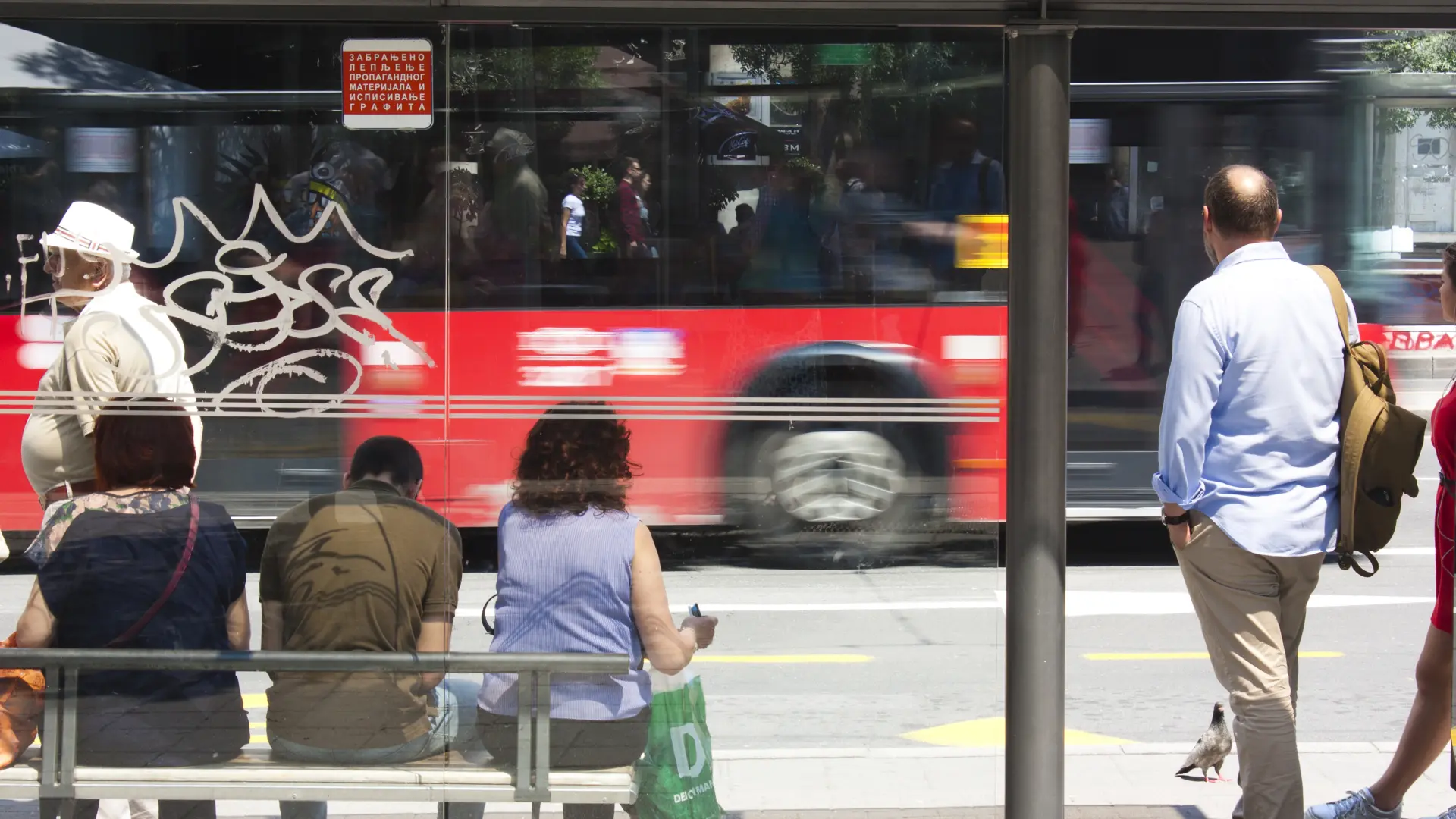 beograd gsp javni prevoz saobraćaj autobusi shutterstock-6887791143aca.webp