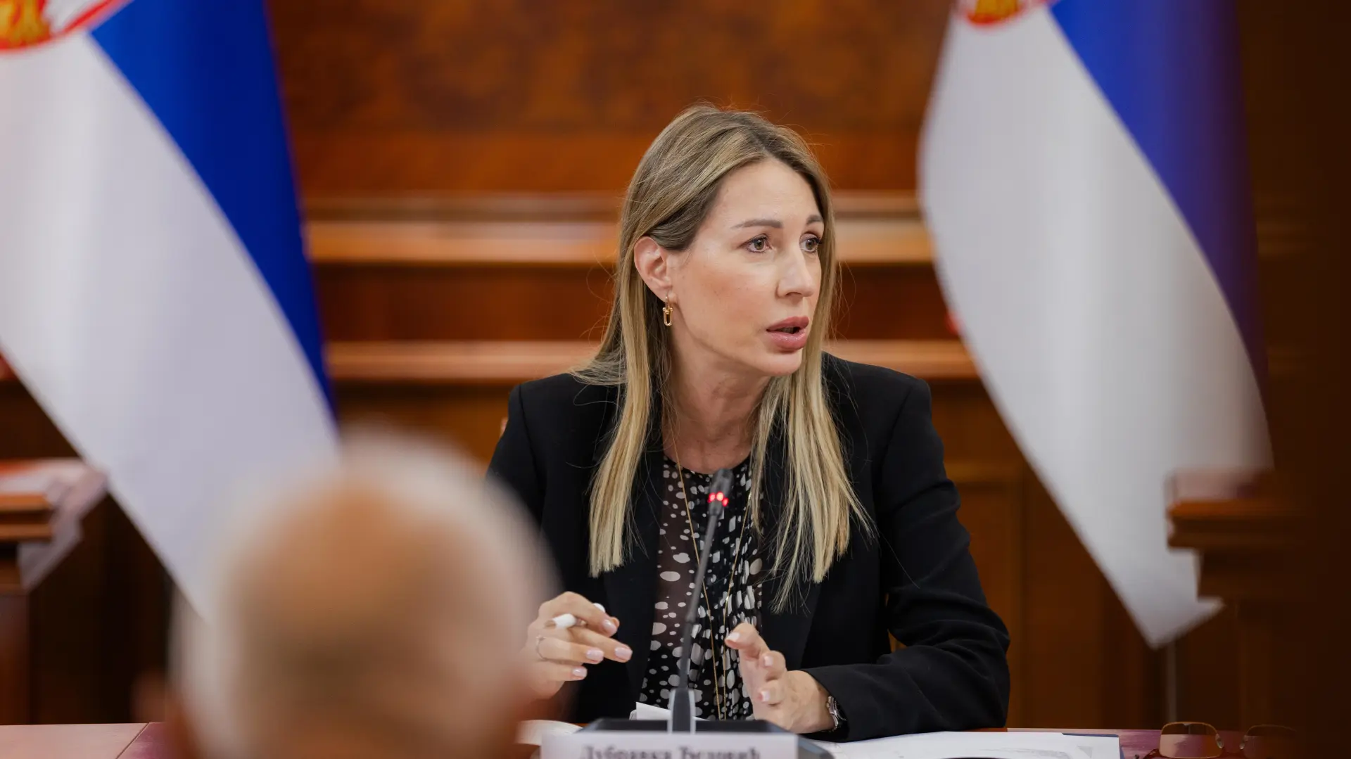 dubravka đedović TANJUG Ministarstvo rudarstva i energetike Nenad Kostić-68722a8e26213.webp