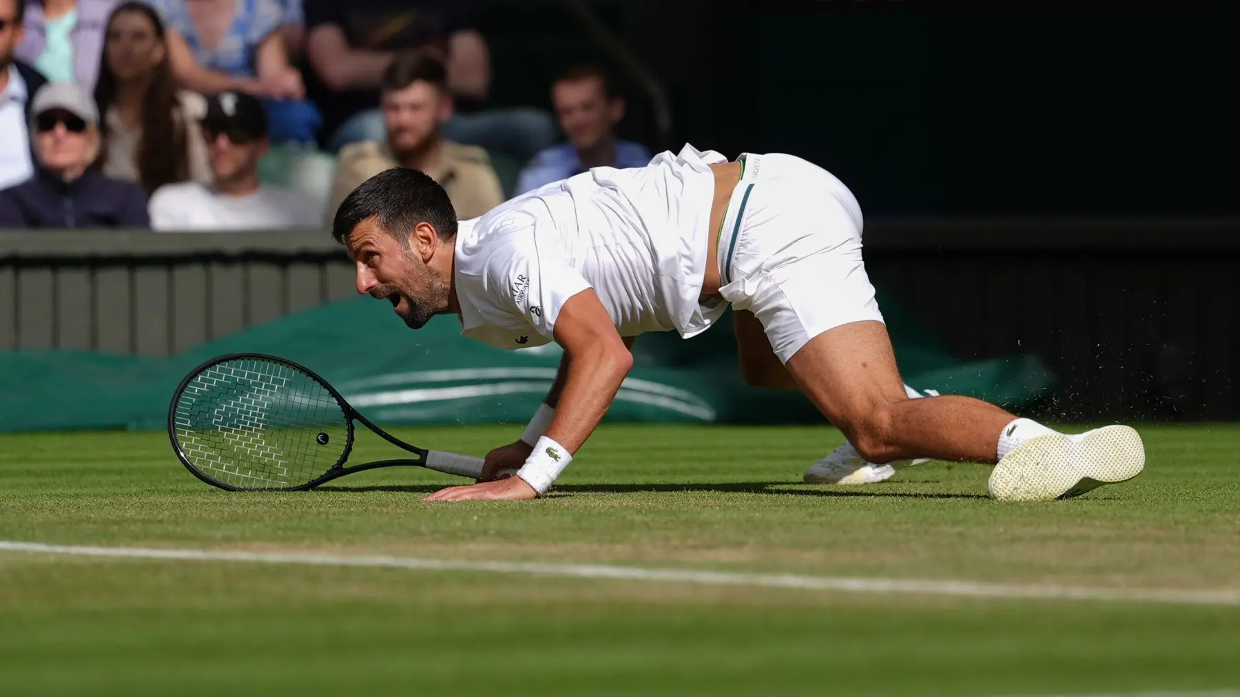 novak đoković, 7 jul 2025 - profimedia-1019316230-686c0df2404b9.webp