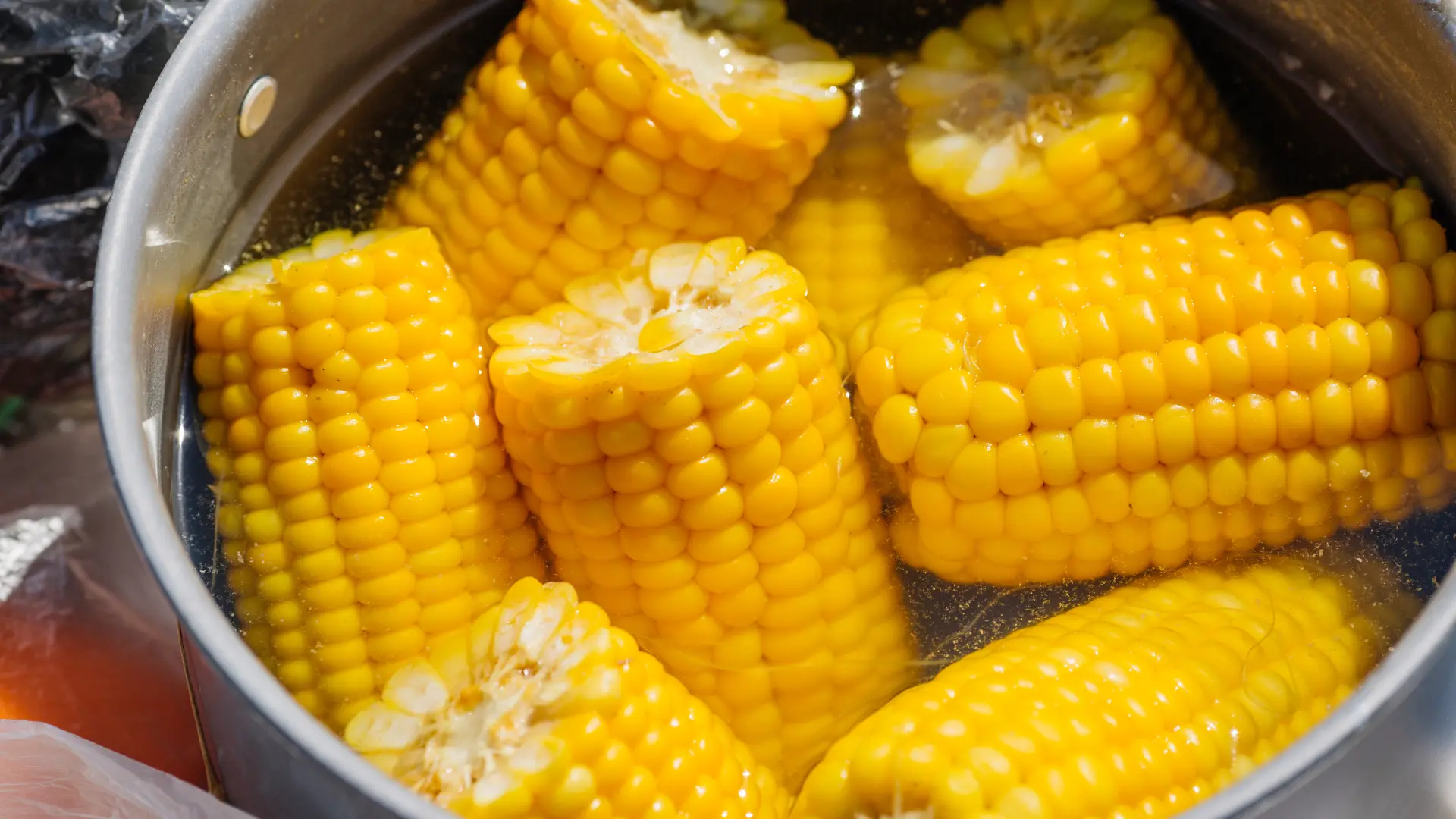 shutterstock_479531989 kuvani kukuruz corn-686e262ea8ab7.webp