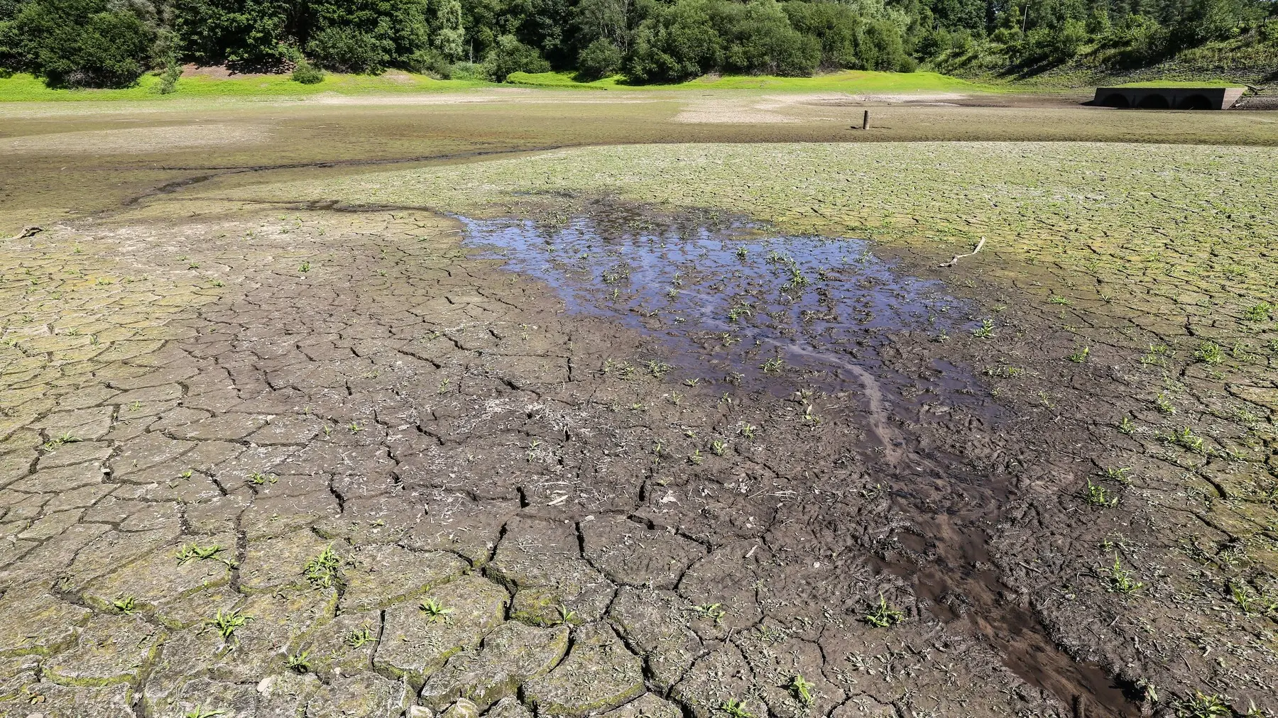 suša, isušeno rečno korito, jezero, isušivanje tla, suvo tlo -  12 jul 2025 - profimedia-1022996948-687d0d34aec34.webp