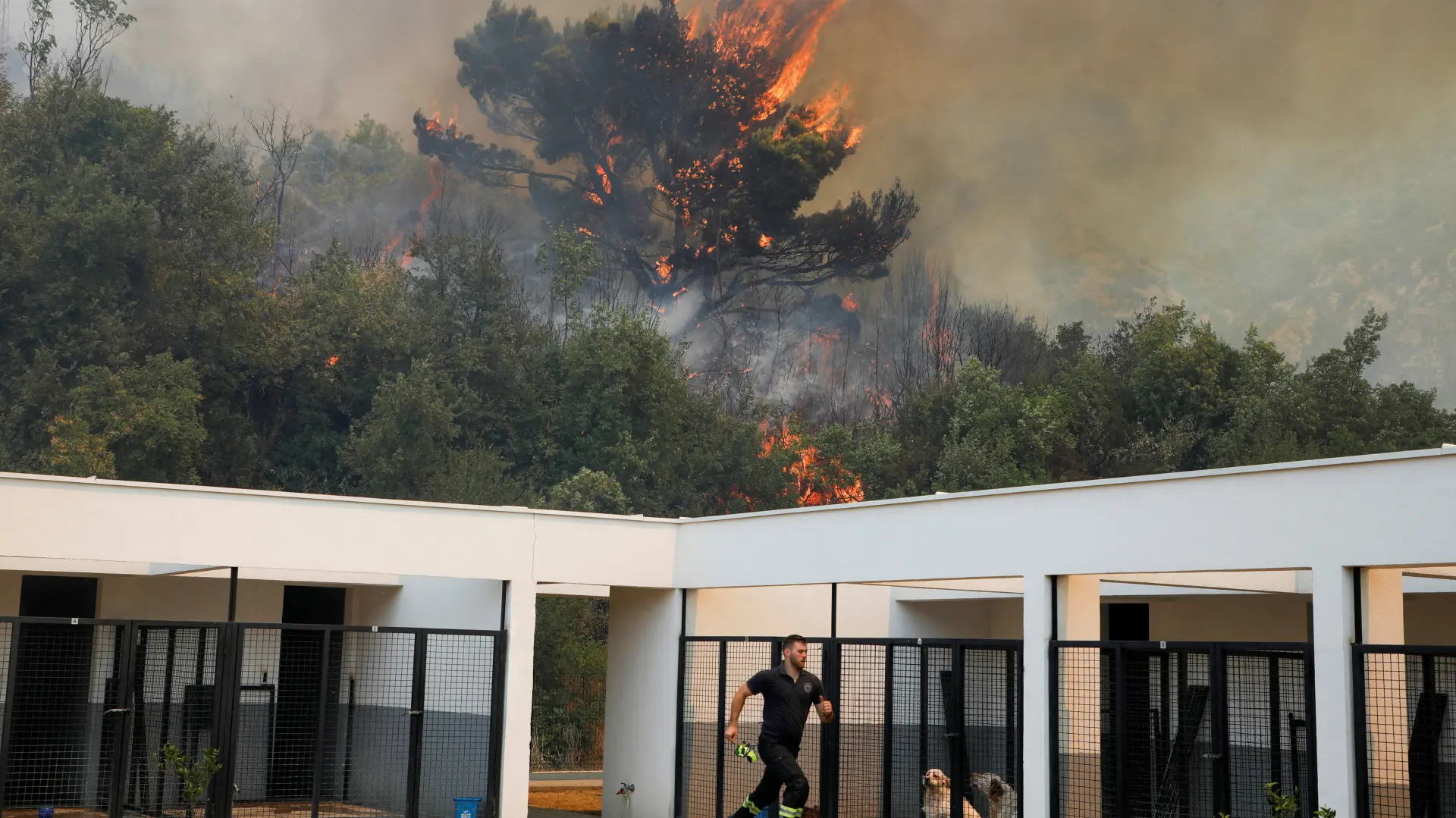 Požar, Crna Gora, Čanj, Reuters-689b2830bceb5.webp
