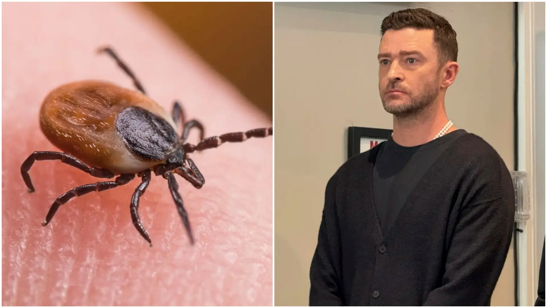 T E McMorrowPool Photo via APTanjug profimedia lajmska bolest krpelj džastin timberlejk-68921e20c9237.webp