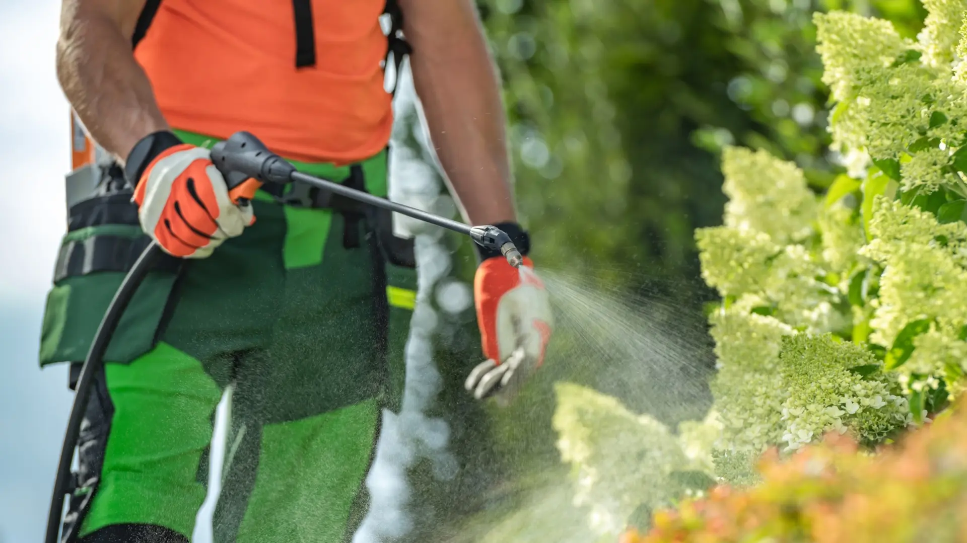 biocidi, prskanje povrća, hemija - shutterstock_2346793919-68ade1eba1cbf.webp