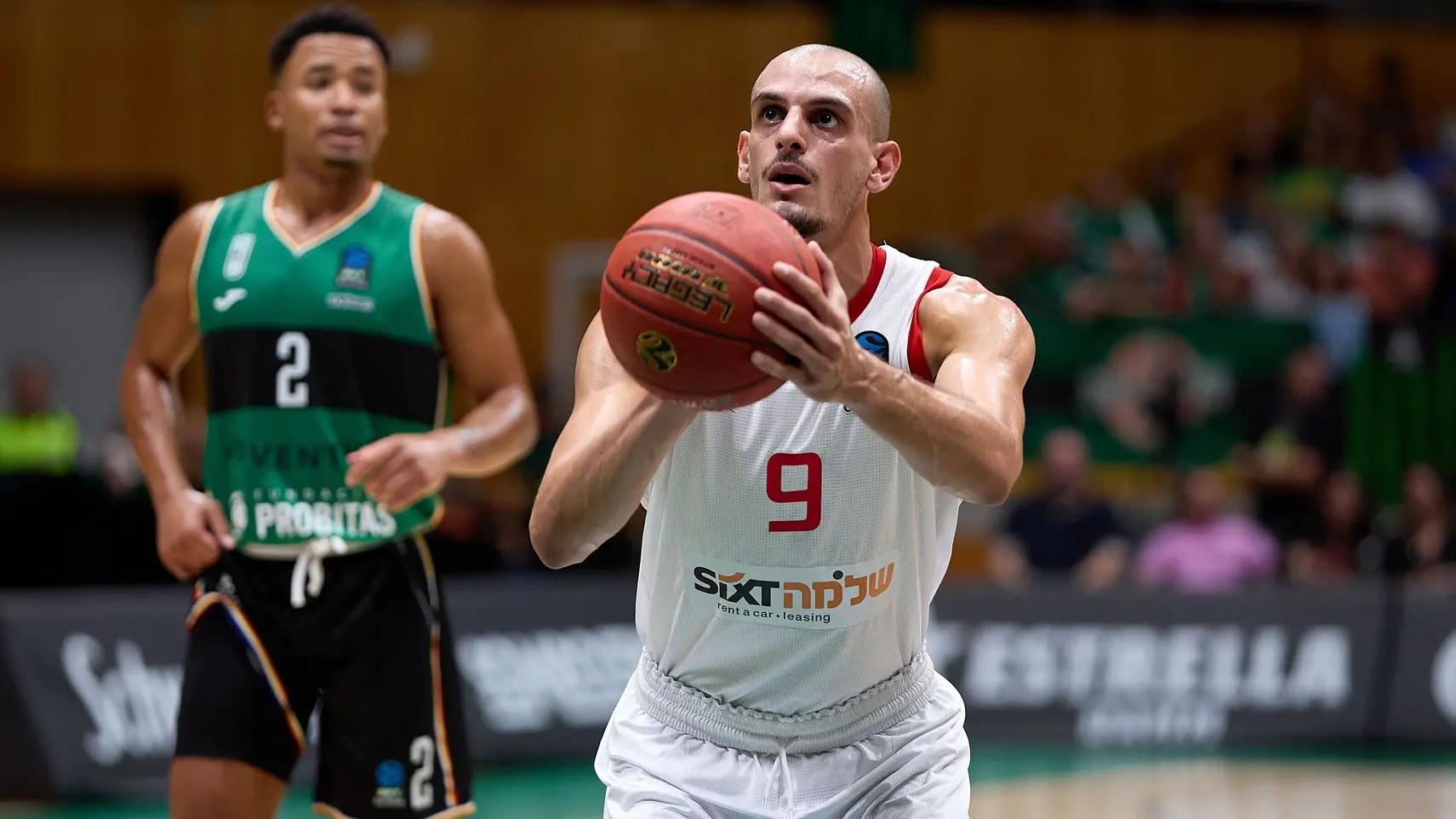 gaj palatin profimedia-6891fb9d40192.webp