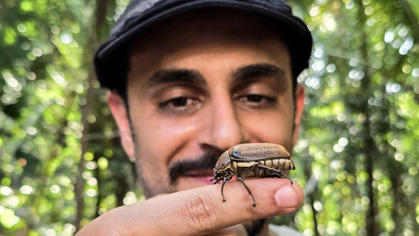 insekt, insekti, buba, bube, strah od buba insekata - profimedia-0966088331-68a5fadab8fb3.webp