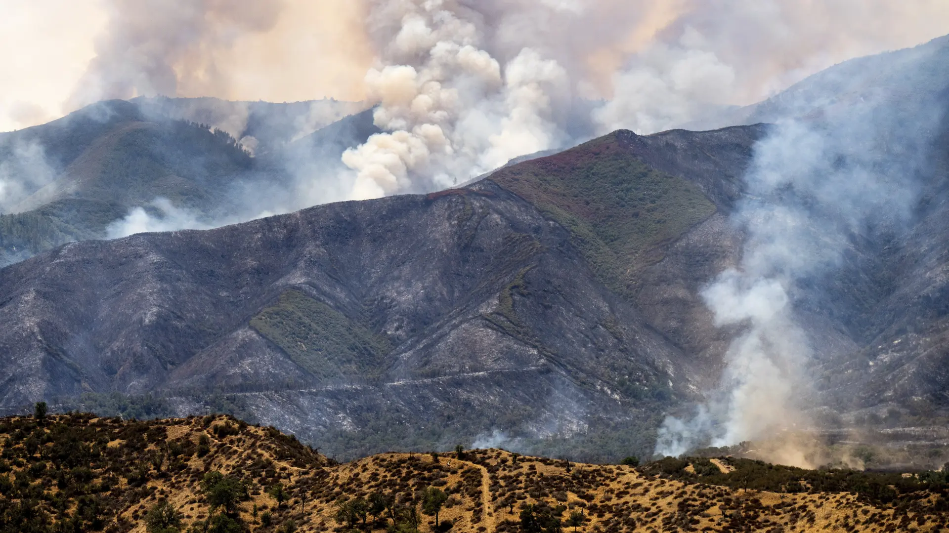 požar kalifornija AP PhotoNoah Berger tanjug-6891a7273c03d.webp