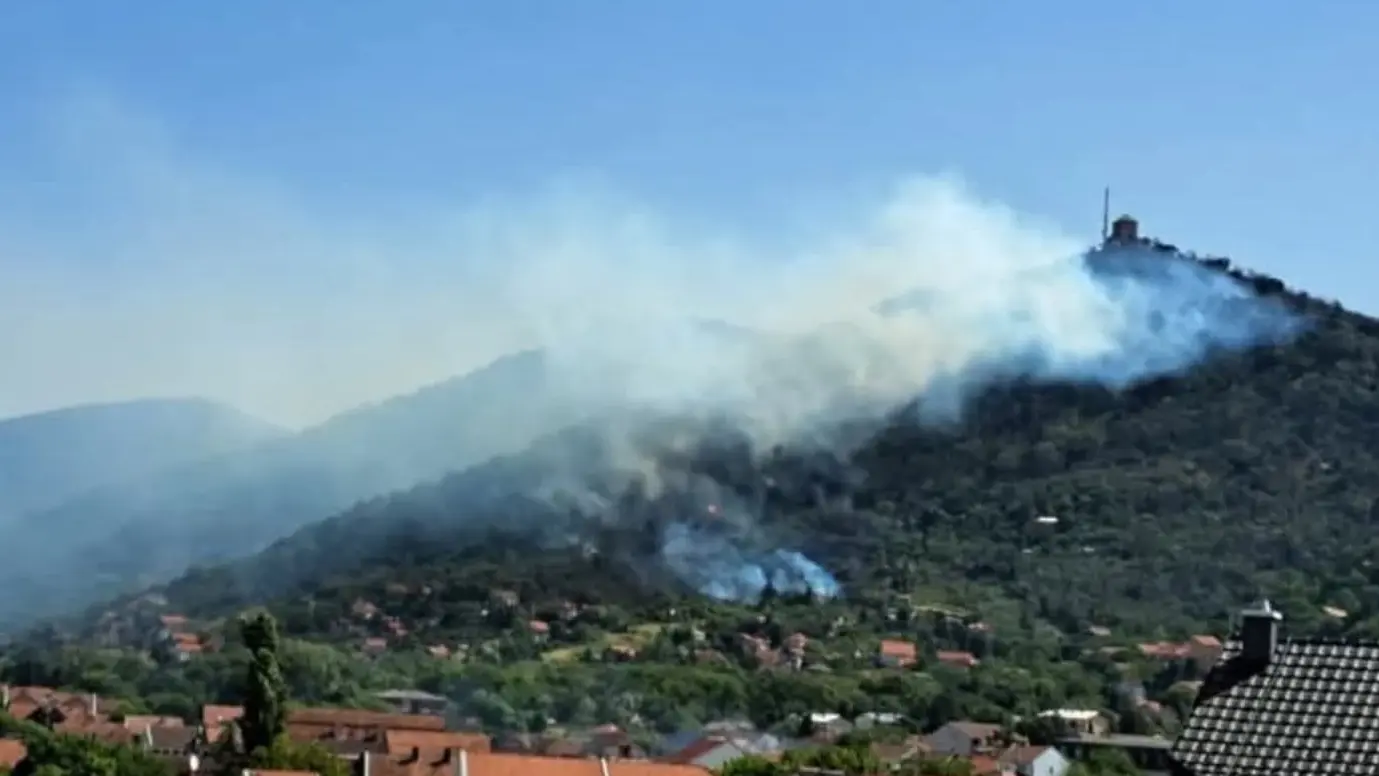 požar vršački breg facebook@Tamara Muncan-68b2f1c2df303.webp