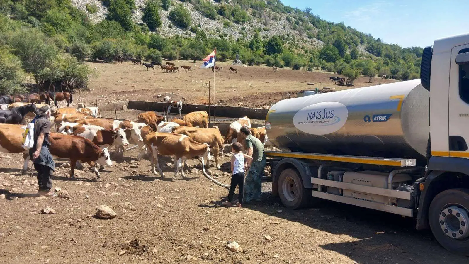 presušilo izvorište rakoš, pijaća voda za stoku, stoka - 15 i 16 avg 2025 - TANJUG MPŠV (3)-68a055d9d7c44.webp