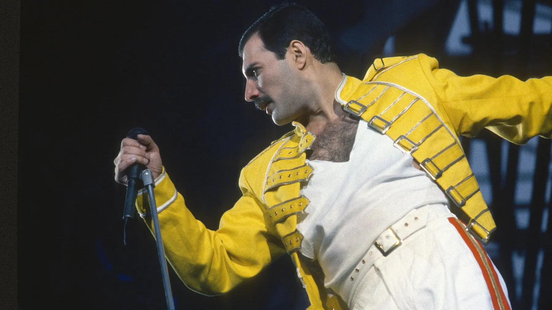 profimedia-0480198583 Freddie Mercury fredi merkjuri-689704b9d9125.webp