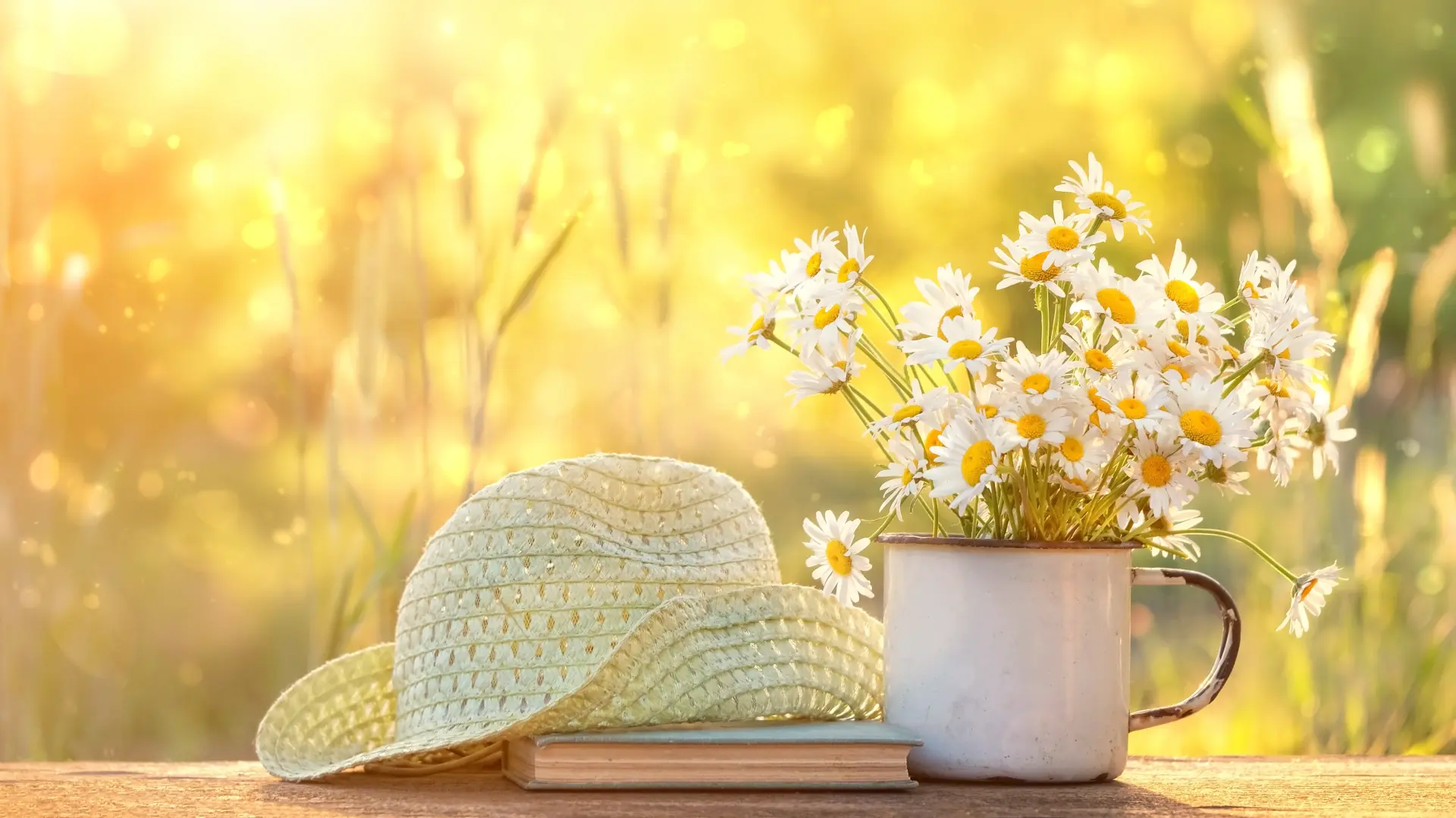 shutterstock_1434914720 bele rade avgust bašta šešir sunce vrućine-689db507ebe9e.webp