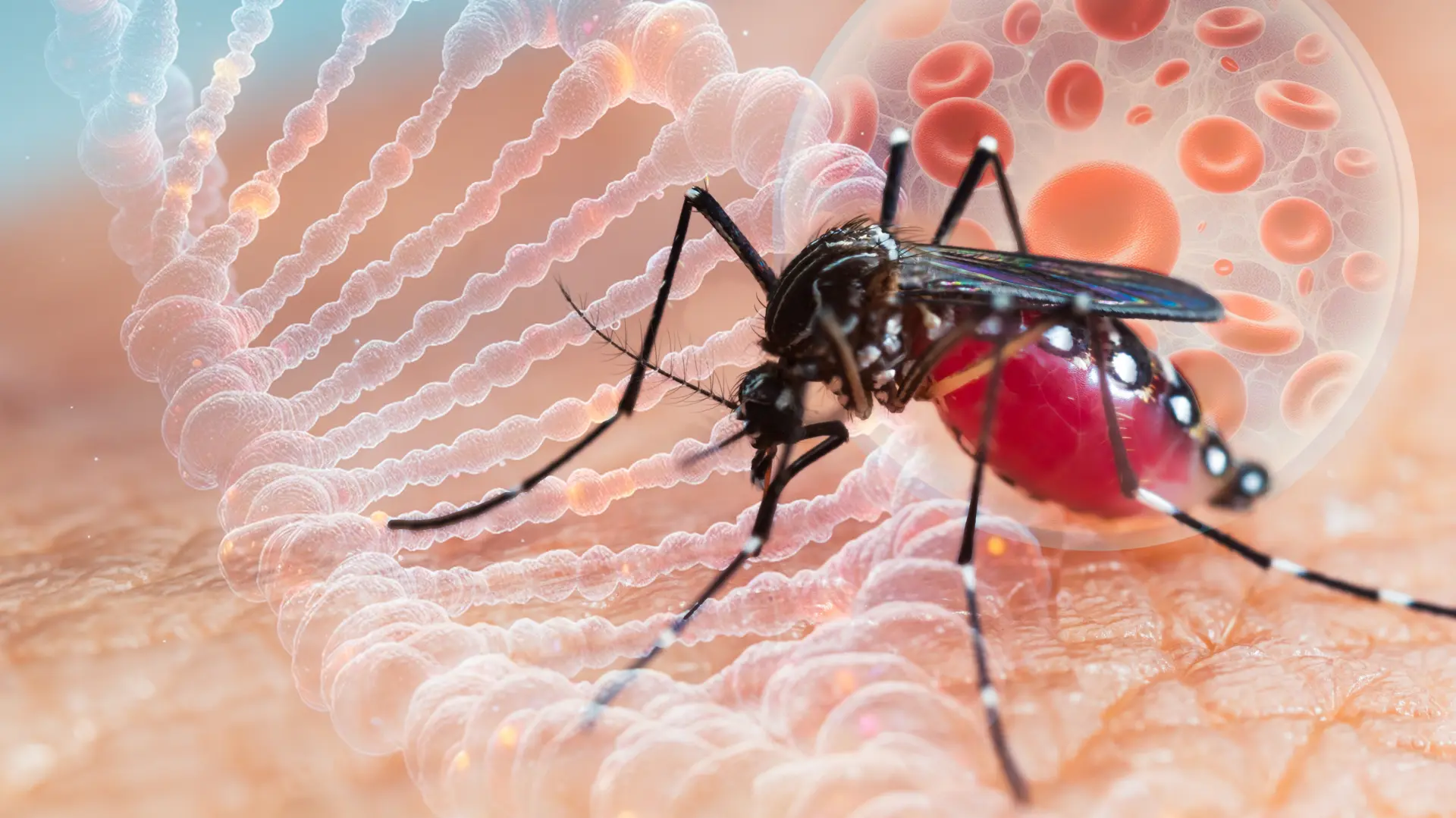 shutterstock_2409984129 virus zapadnog nila komarac zaraza-6894b671a135e.webp