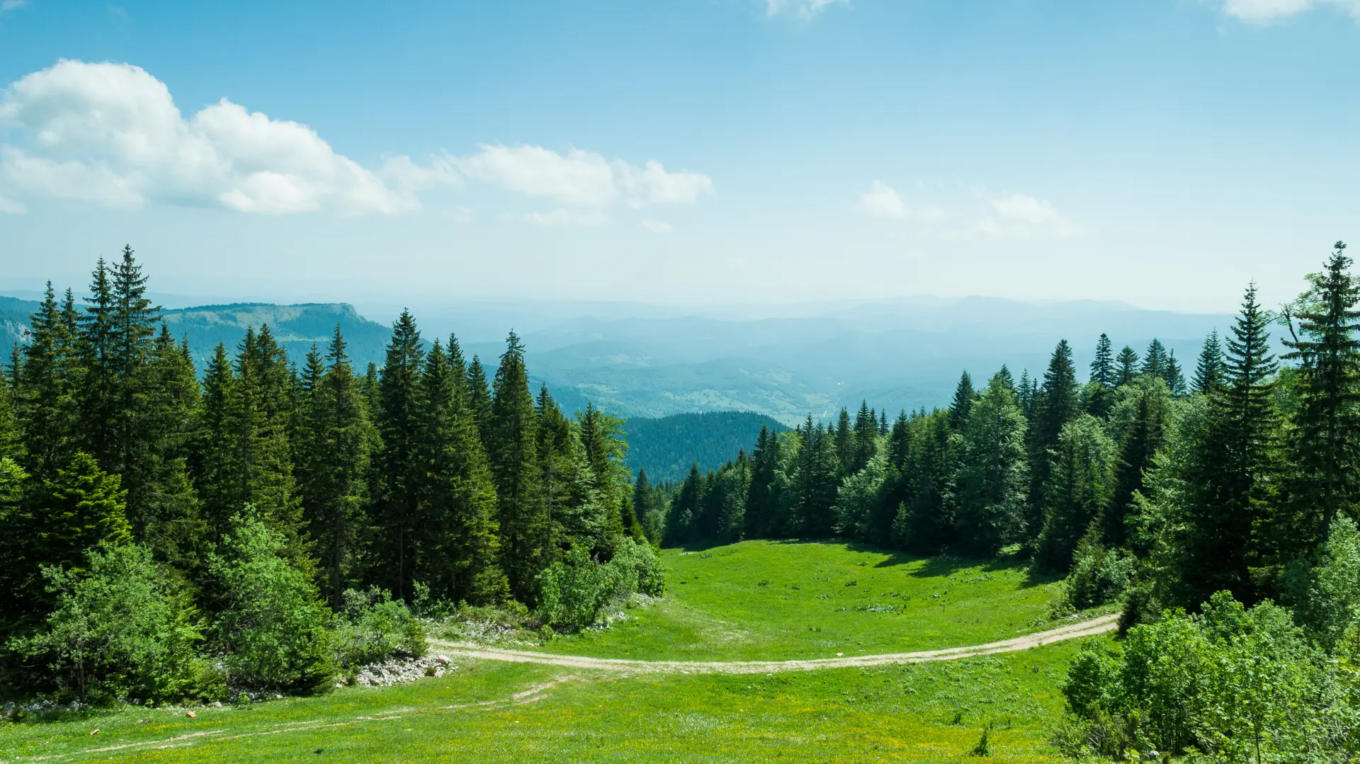 shutterstock_523062202 jahorina priroda planina proleće-688e369cb712f.webp