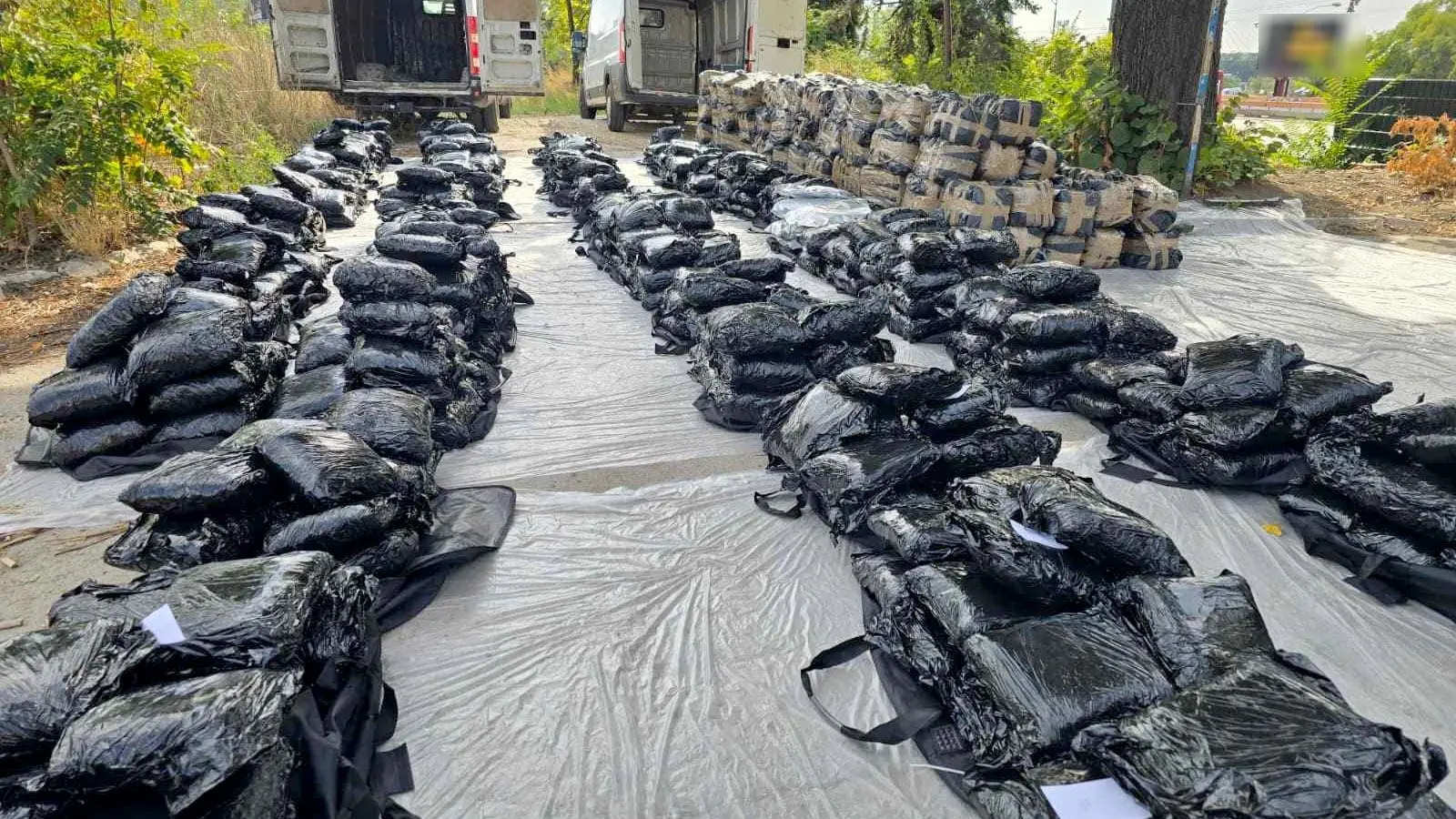 zaplena marihuane u beogradu, 19 avg 2025 - TANJUG OMK MUP REPUBLIKE SRBIJE (1)-68a4cbeccc34e.webp