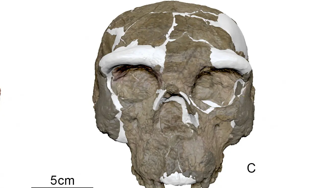 Junsian 2 - 25 sept 2025 - via REUTERS - 2025-09-25T175743Z_2064385592_RC2GYGAY7Q1Z_RTRMADP_3_SCIENCE-SKULL (1)-68d67e26f2a35.webp