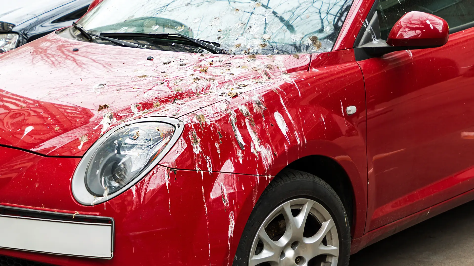automobil ptičji izmet shutterstock-68b5922f66dbf.webp